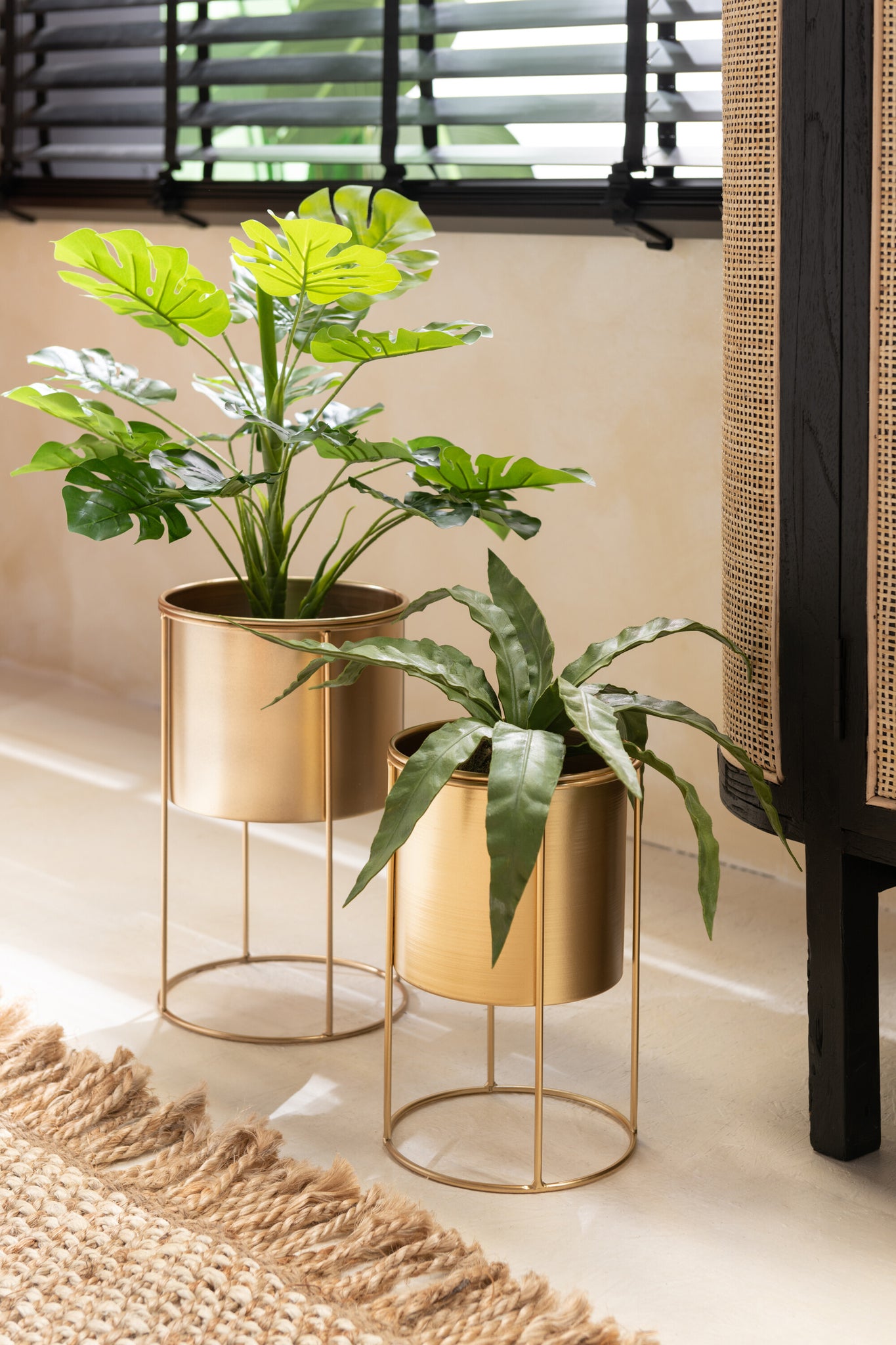 sansevieria erde Sansevieria-Kugel, Erde, Plastik, Grün – Living and Goods