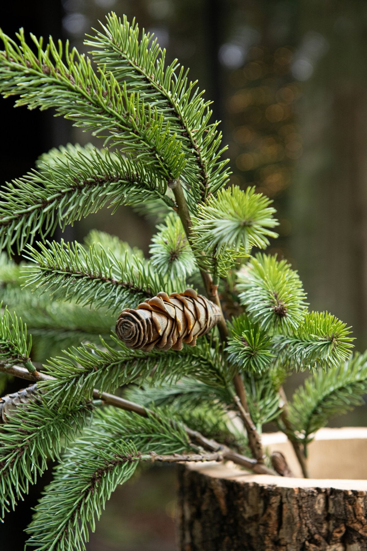 Branch Pinetree Plastic Green/Brown