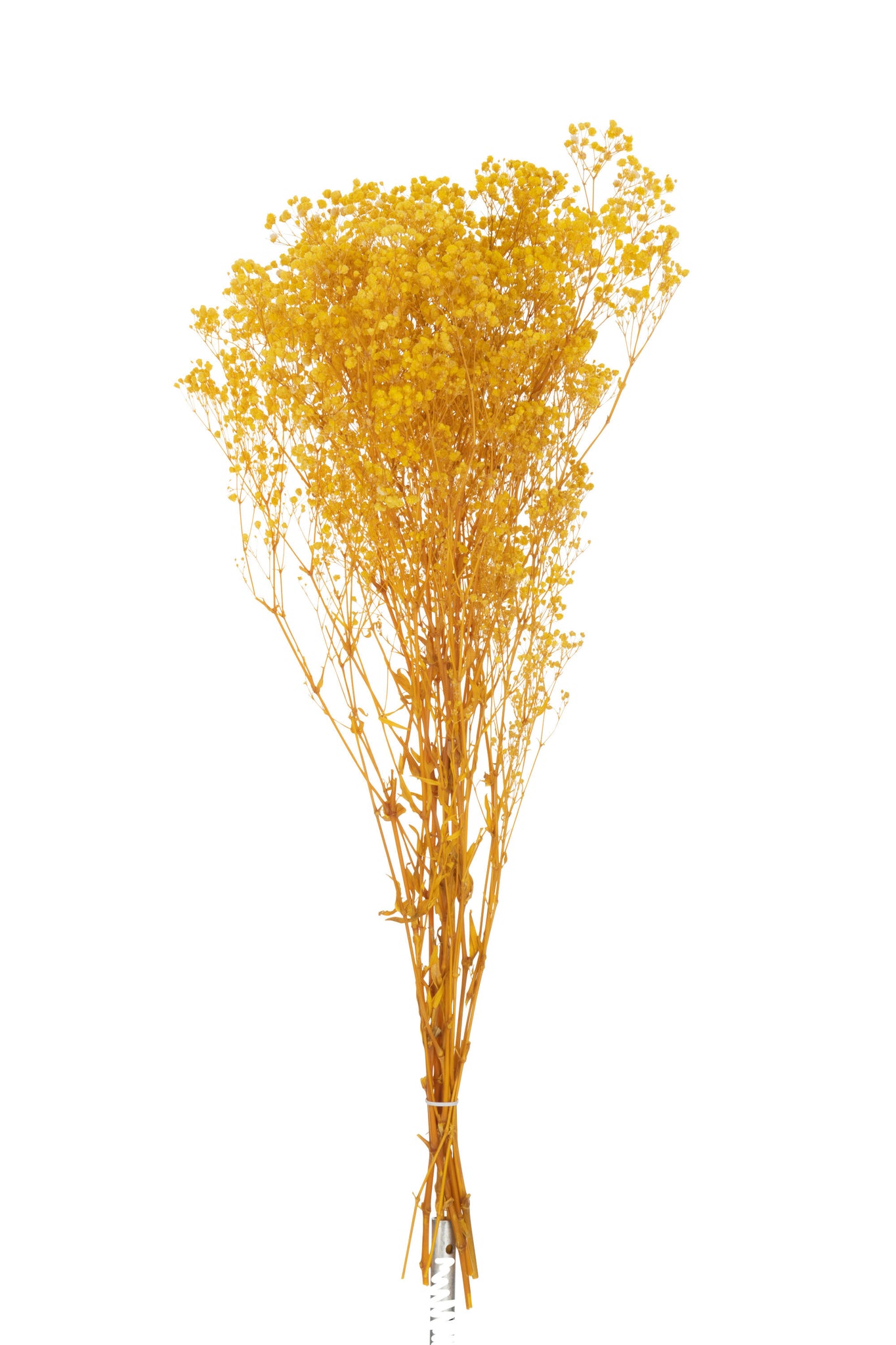 Bundle Dried Gypsophilia Yellow