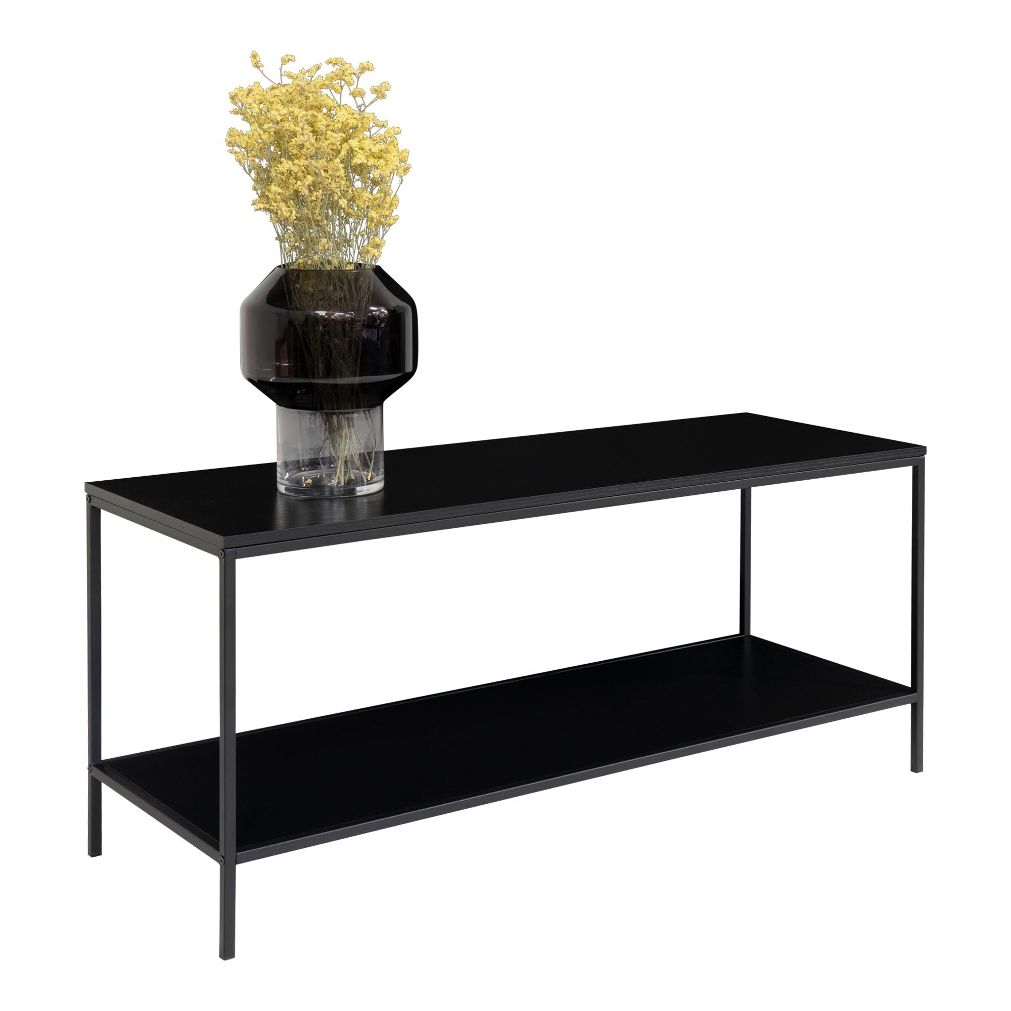 Vita TV-Ständer - TV-Möbel, 2 Ablagen, schwarz, schwarzer Rahmen 100x36x45 cm