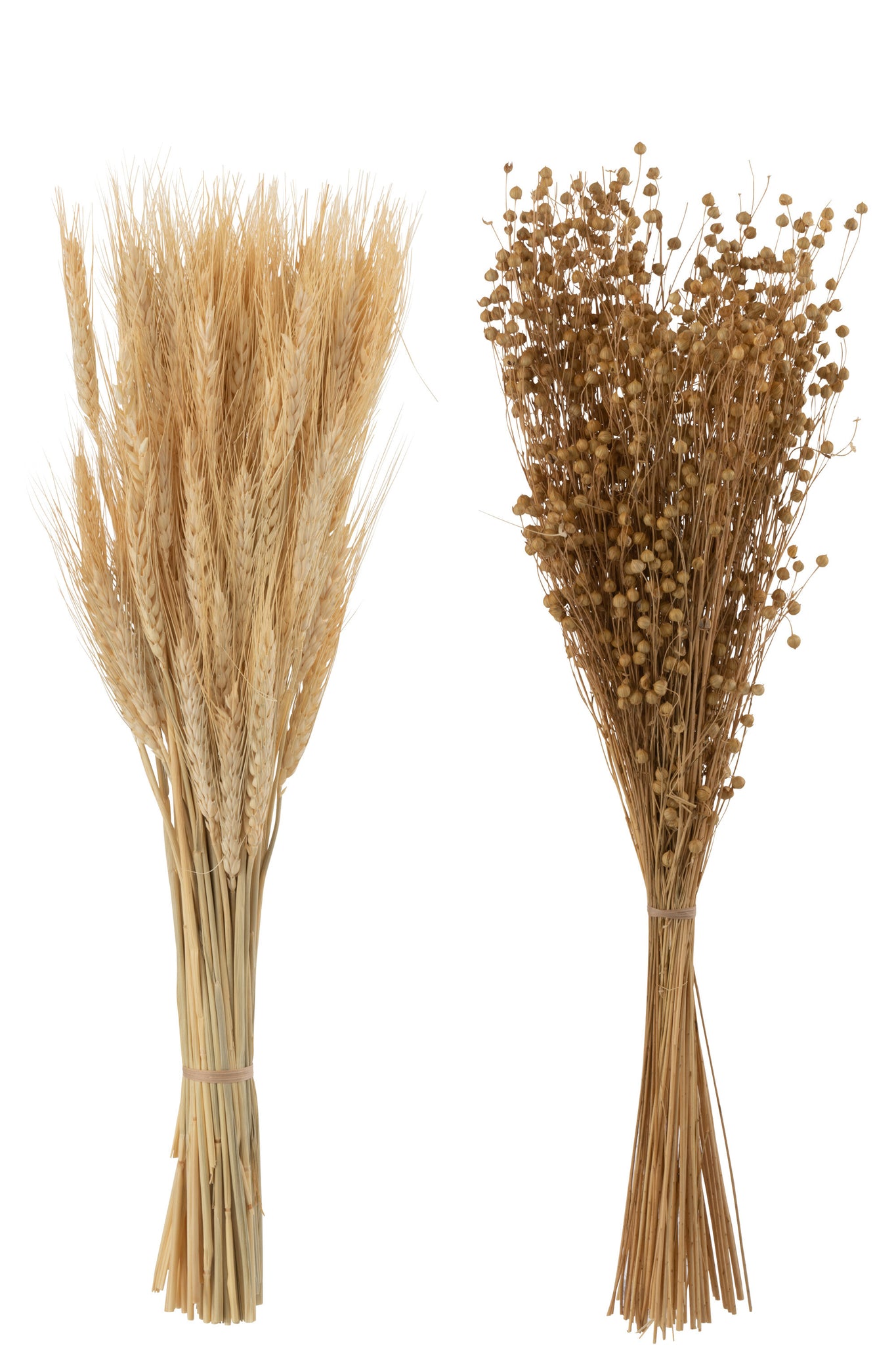 Bunch Dried Tishi+Wheat Grass Natural Assortment Of 2