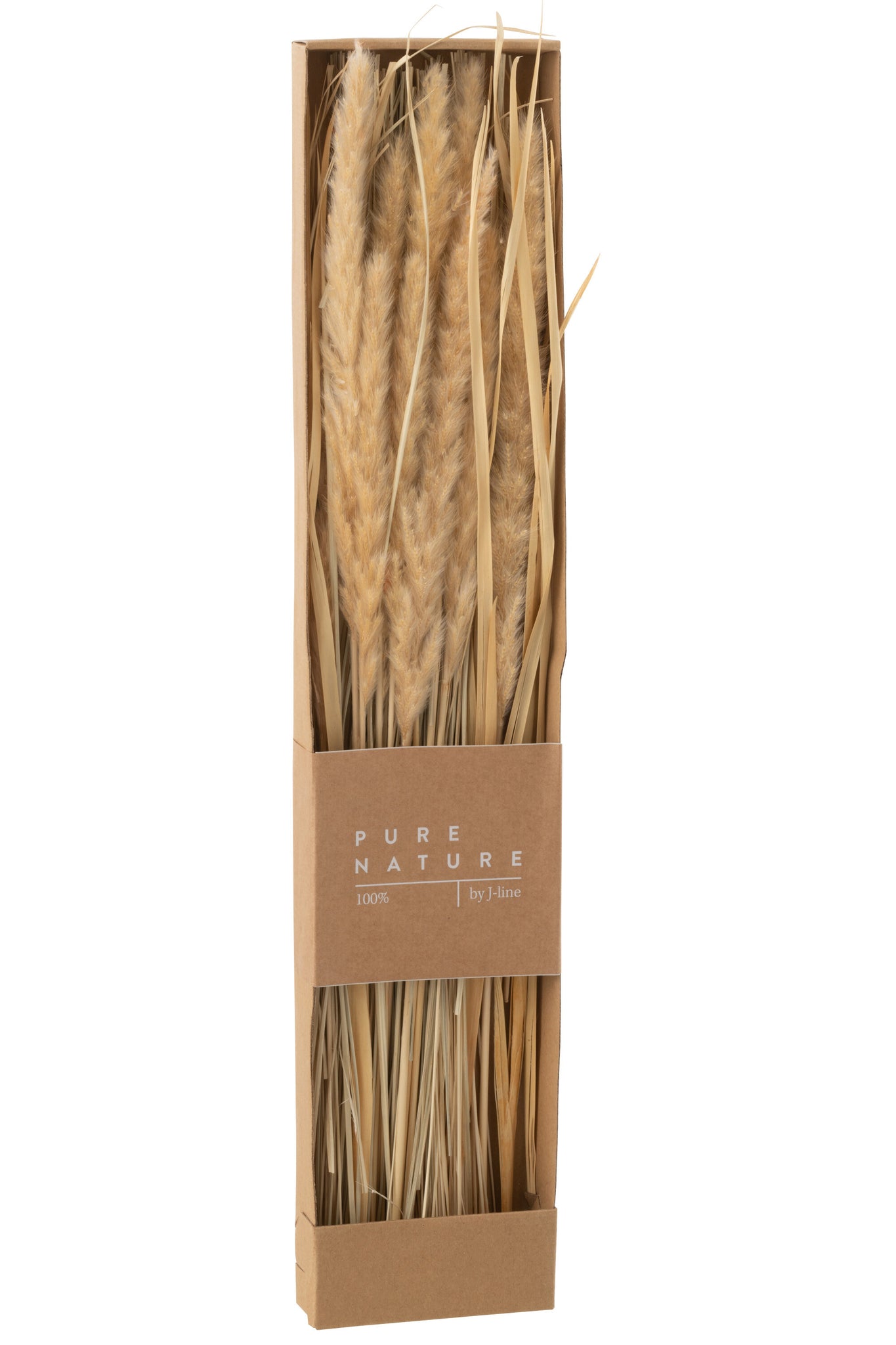 Box Dried Grass Natural
