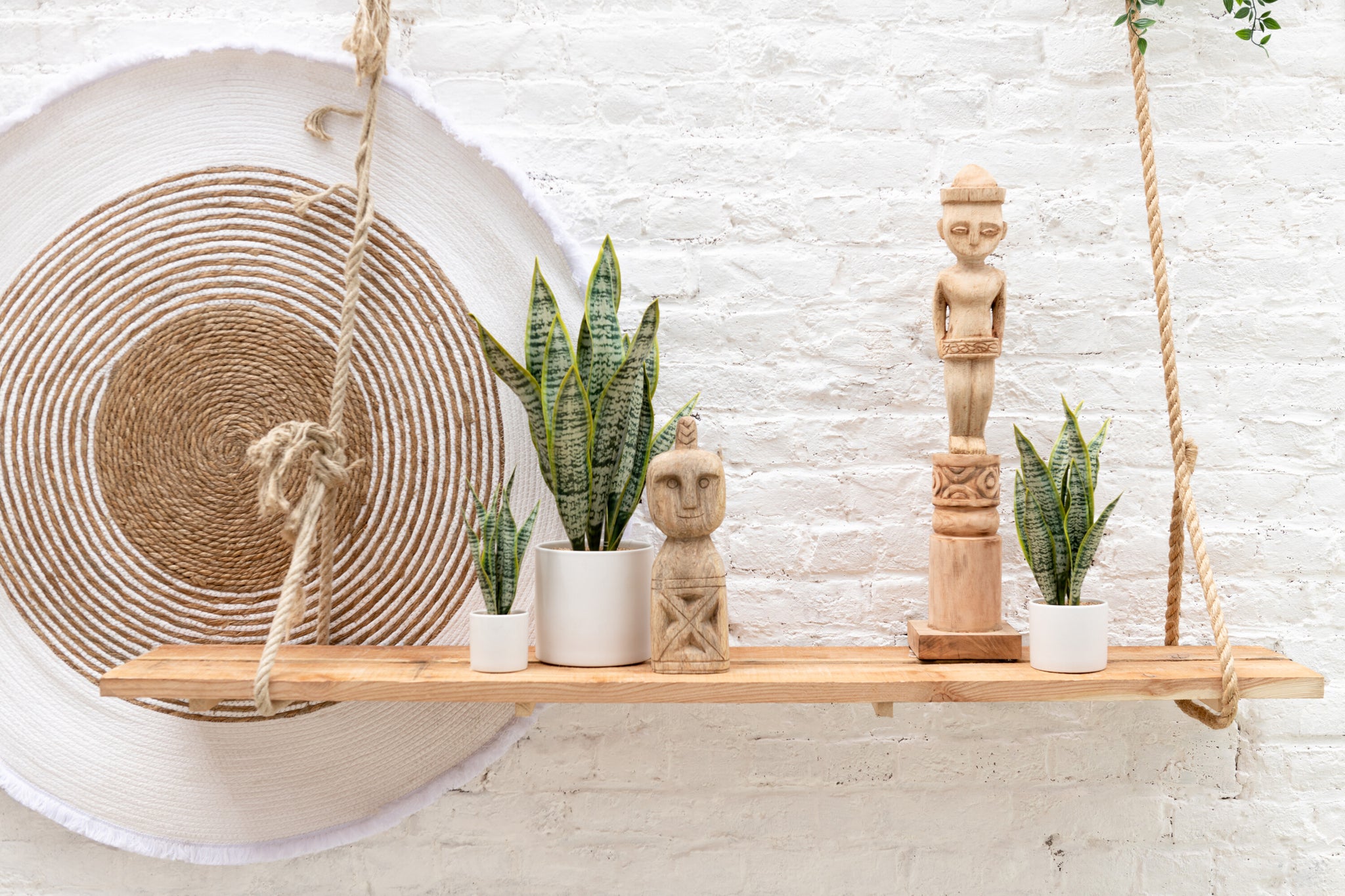 Sansevieria im Topf, PVC, grün, extra groß