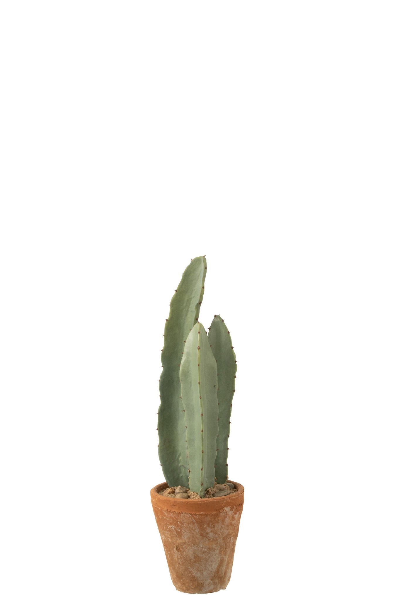 Cactus 3 Parts In Pot Plastic Green Small
