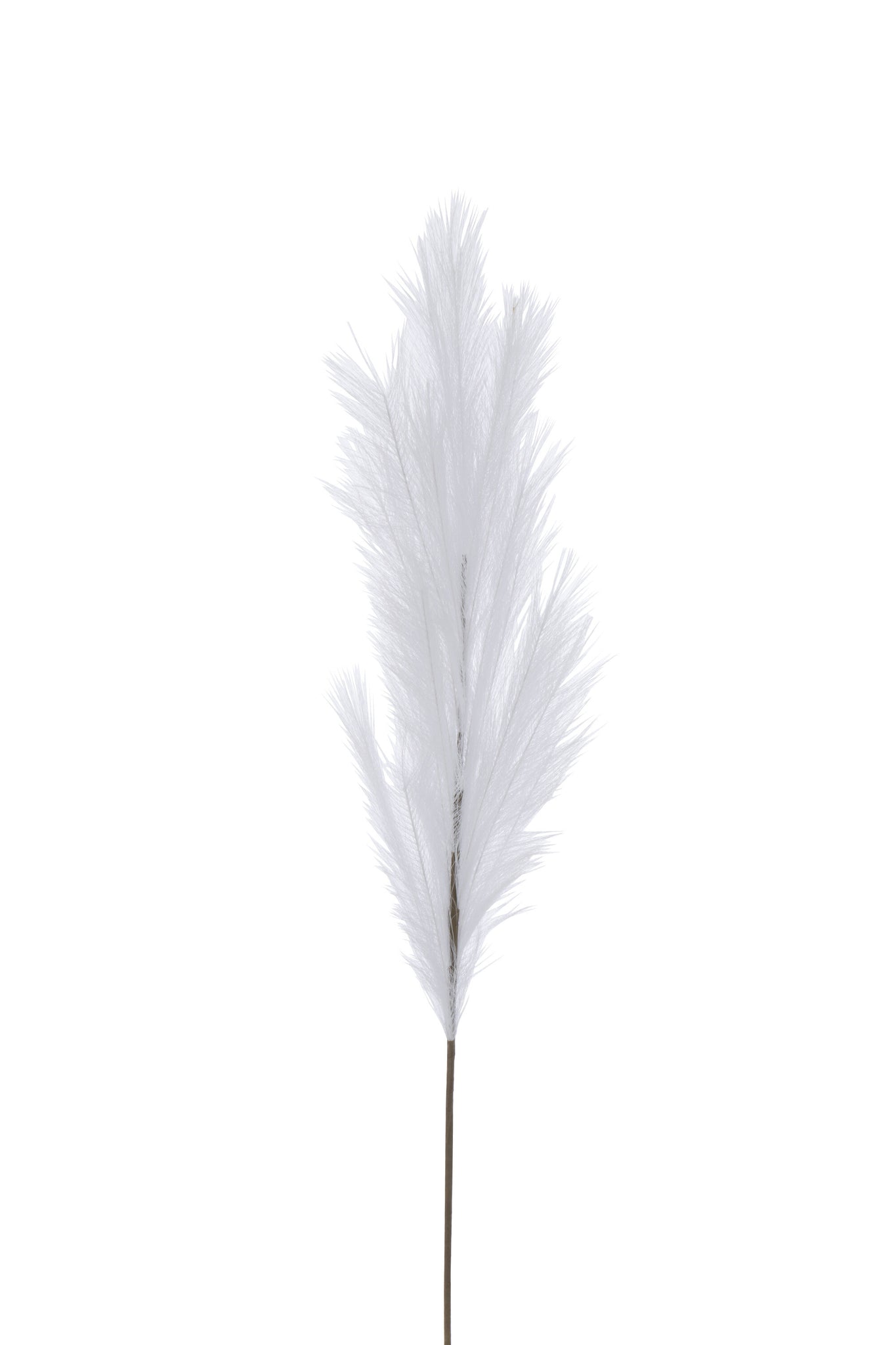 Branch Feather Duster Plastic White Medium