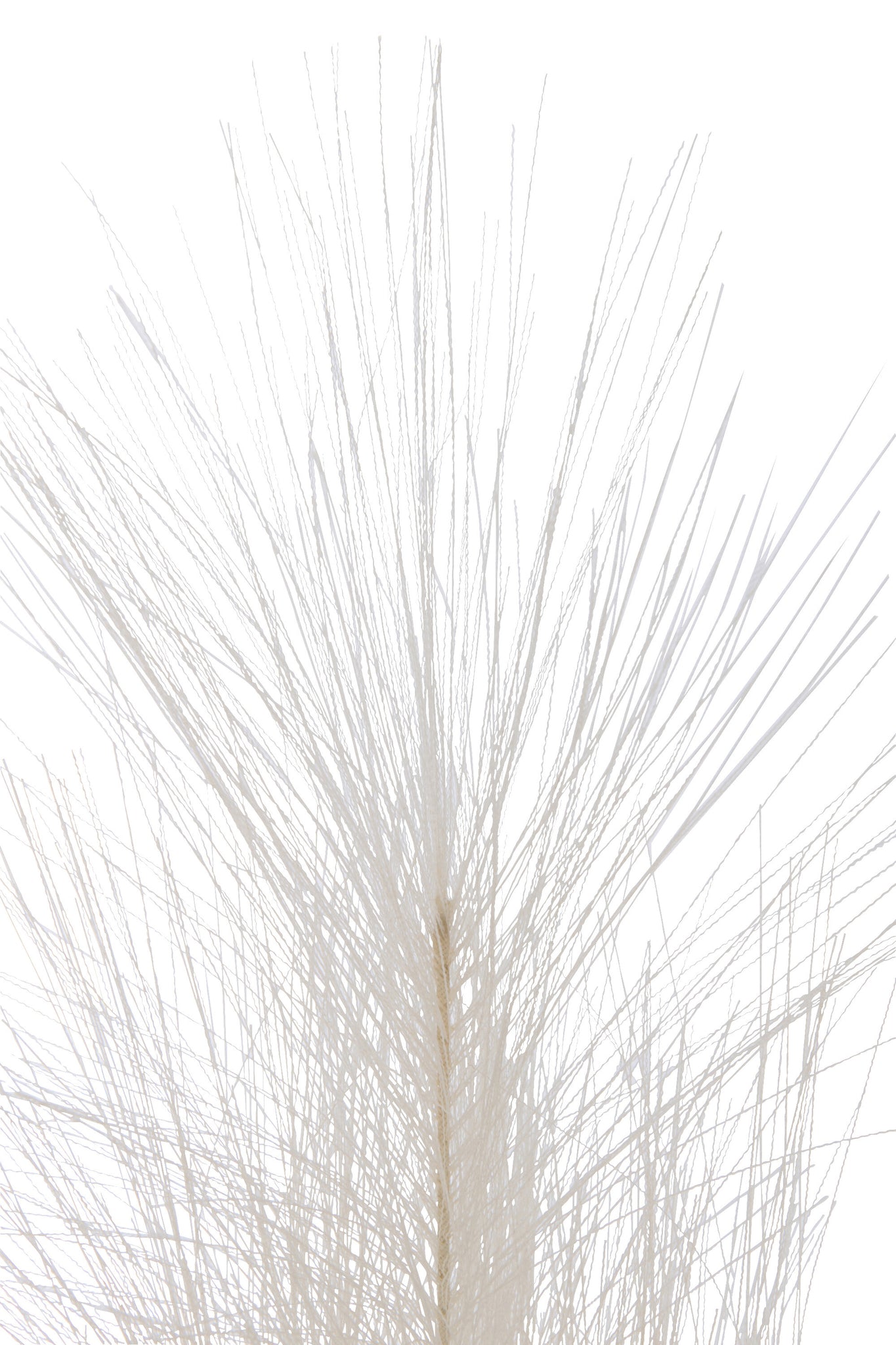 Branch Plumeau Plastic Beige Small