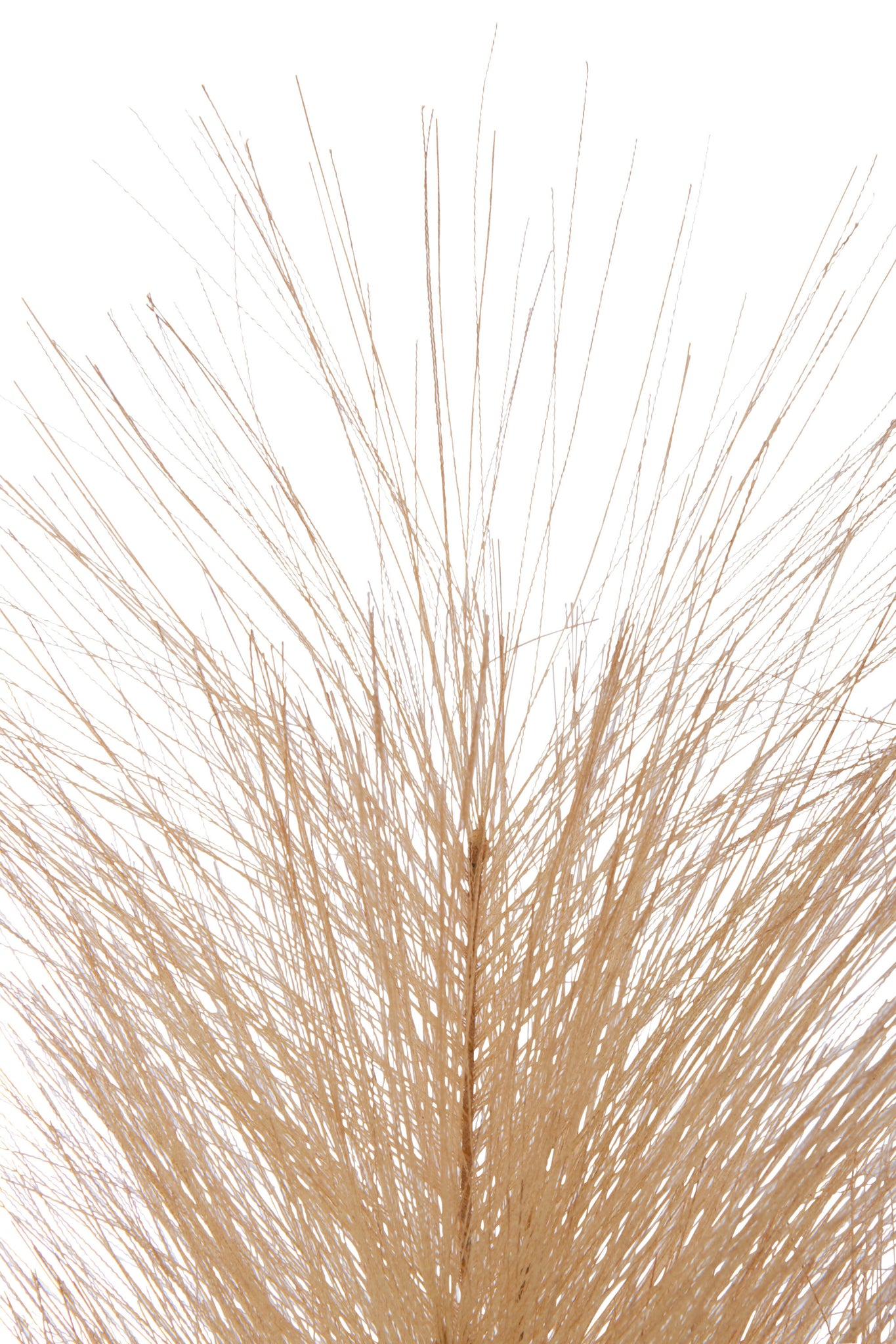 Branch Feather Duster Plastic Rust Small