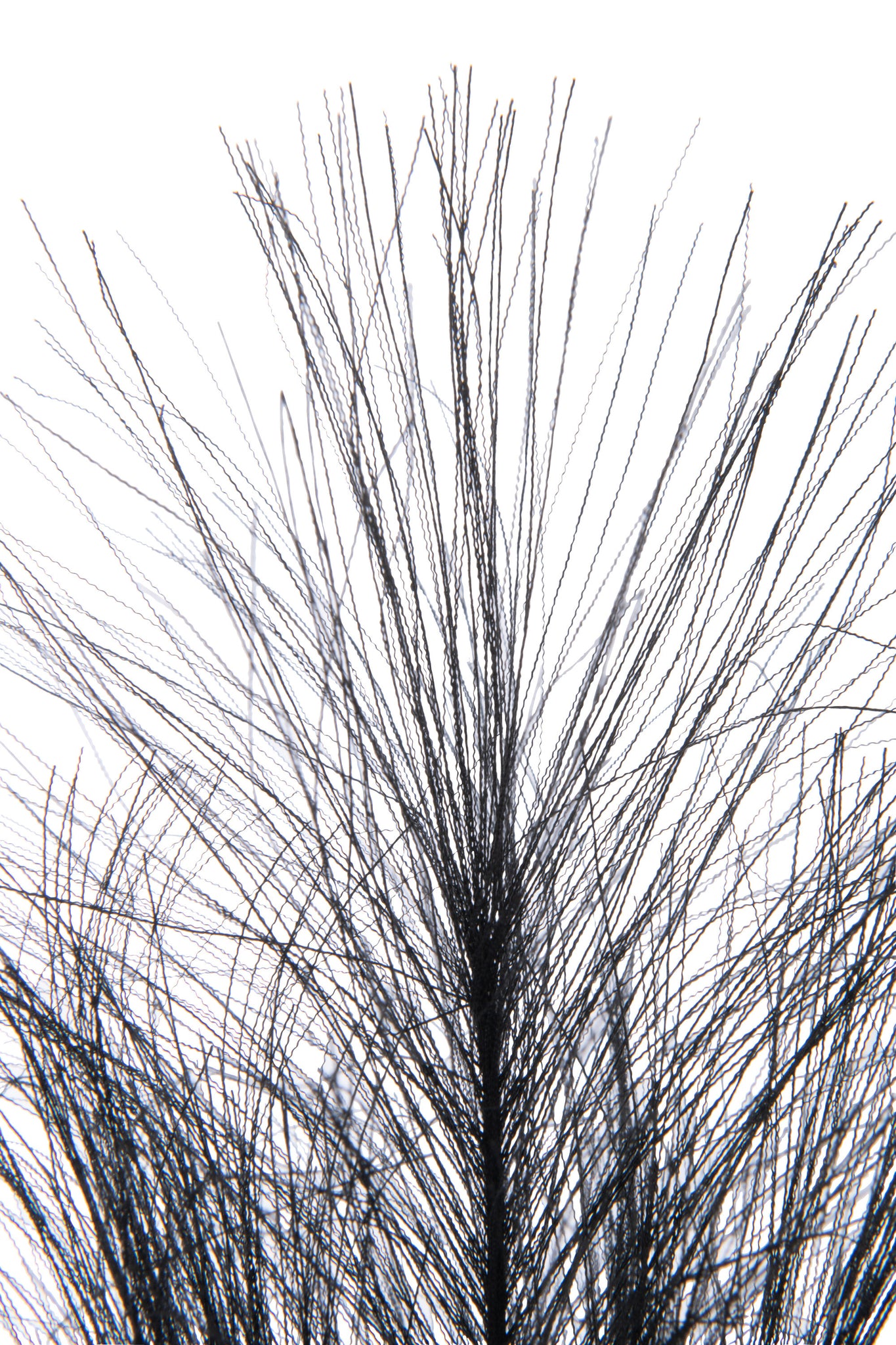 Branch Plumeau Plastic Black Small