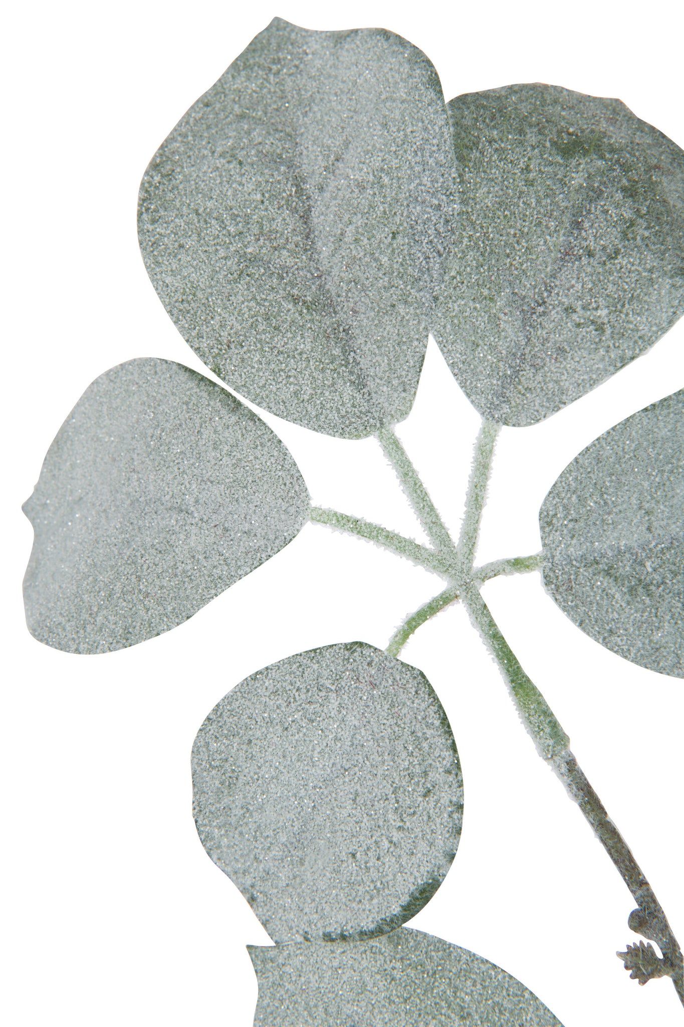 Branch Schefflera Flocked Plastic Green