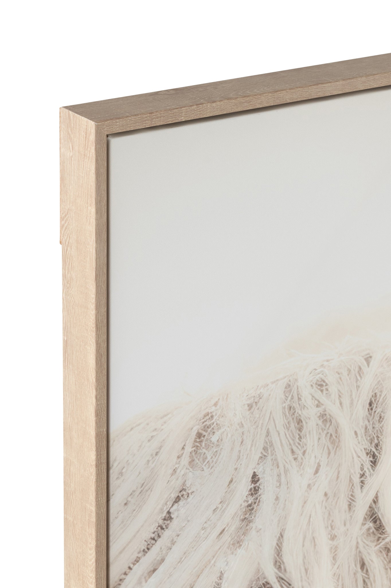 Wall Deco Yak Face Pinewood/Polyresin White/Beige