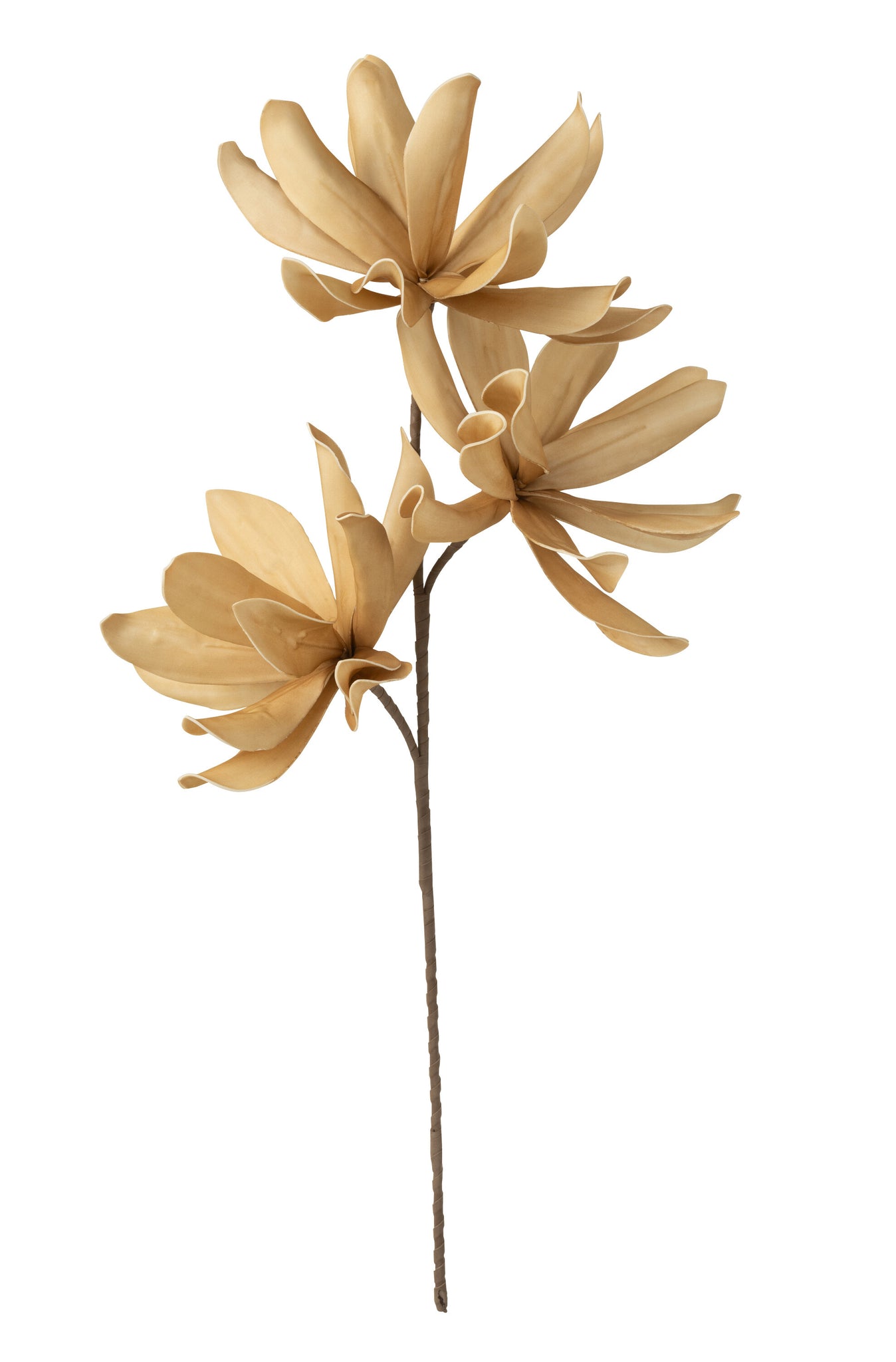 Flower Branch 3 Heads Eva Corn