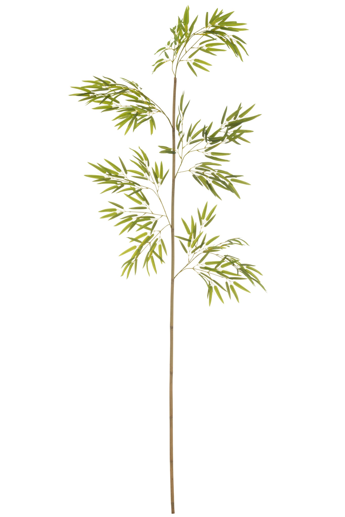Kunstpflanze Bambuszweig – grün, 40×220 cm – Living and Goods