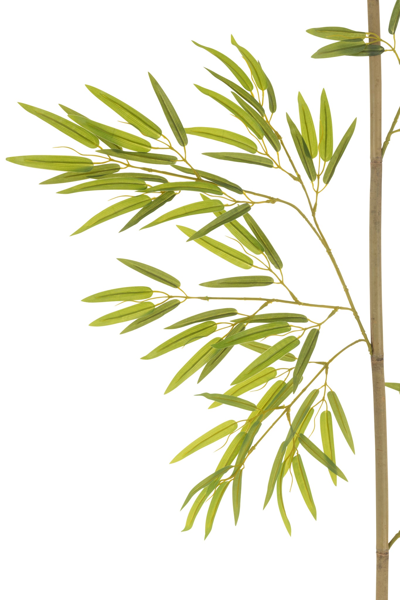 Bamboo Branch Artificial Green