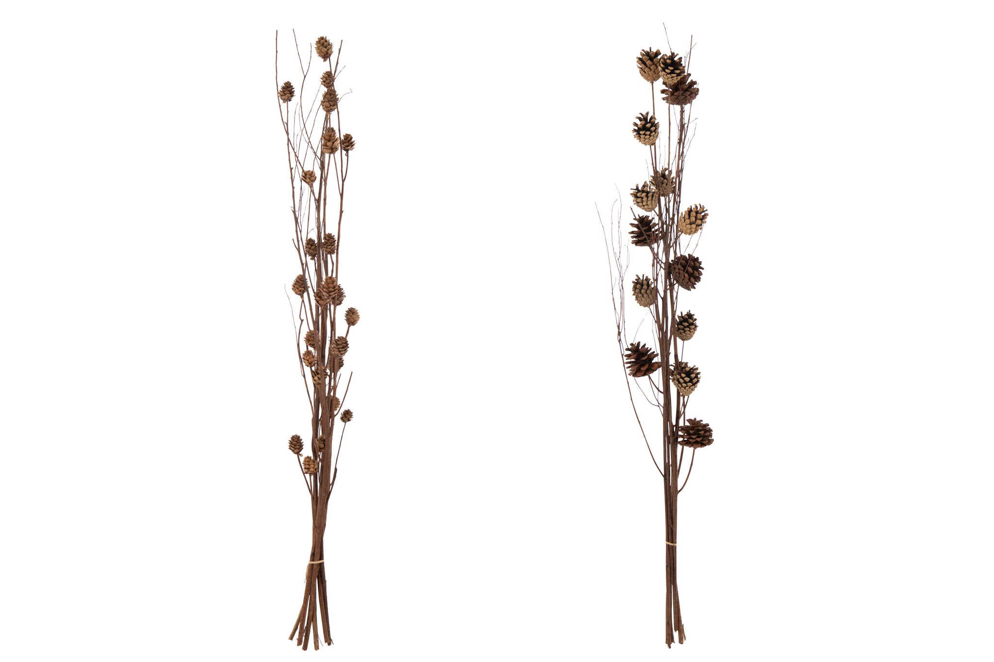 Branch Pine Cone Dry Flower Dark Brown Assortment Of 2