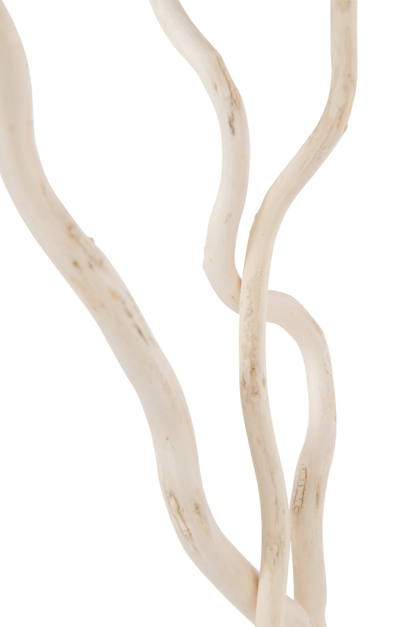 Bundle Of 3 Branch Dry Flower White Large