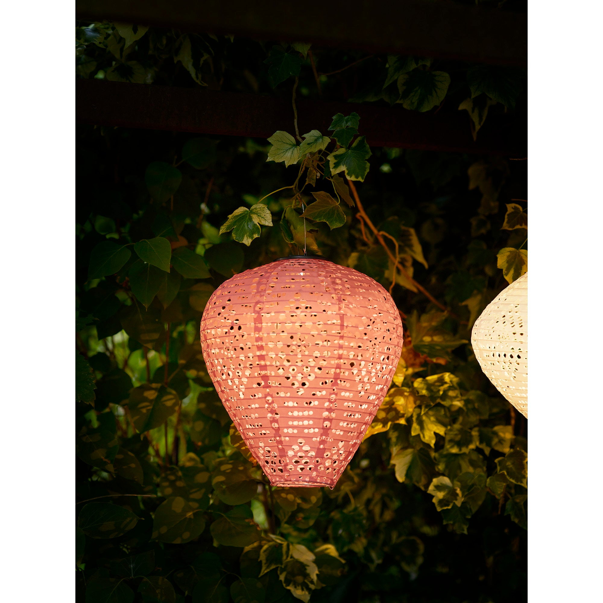 Greatham LED Lantern - Lantern, rechargeable with integrated solar panel, rose