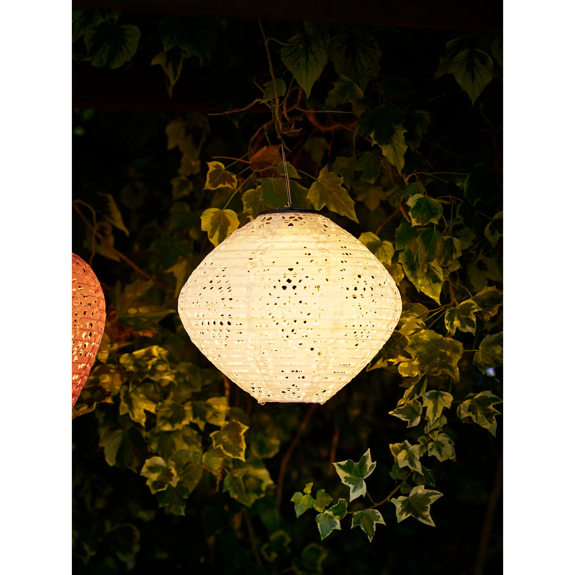 Harwood LED Lantern - Lantern, rechargeable with integrated solar panel, white