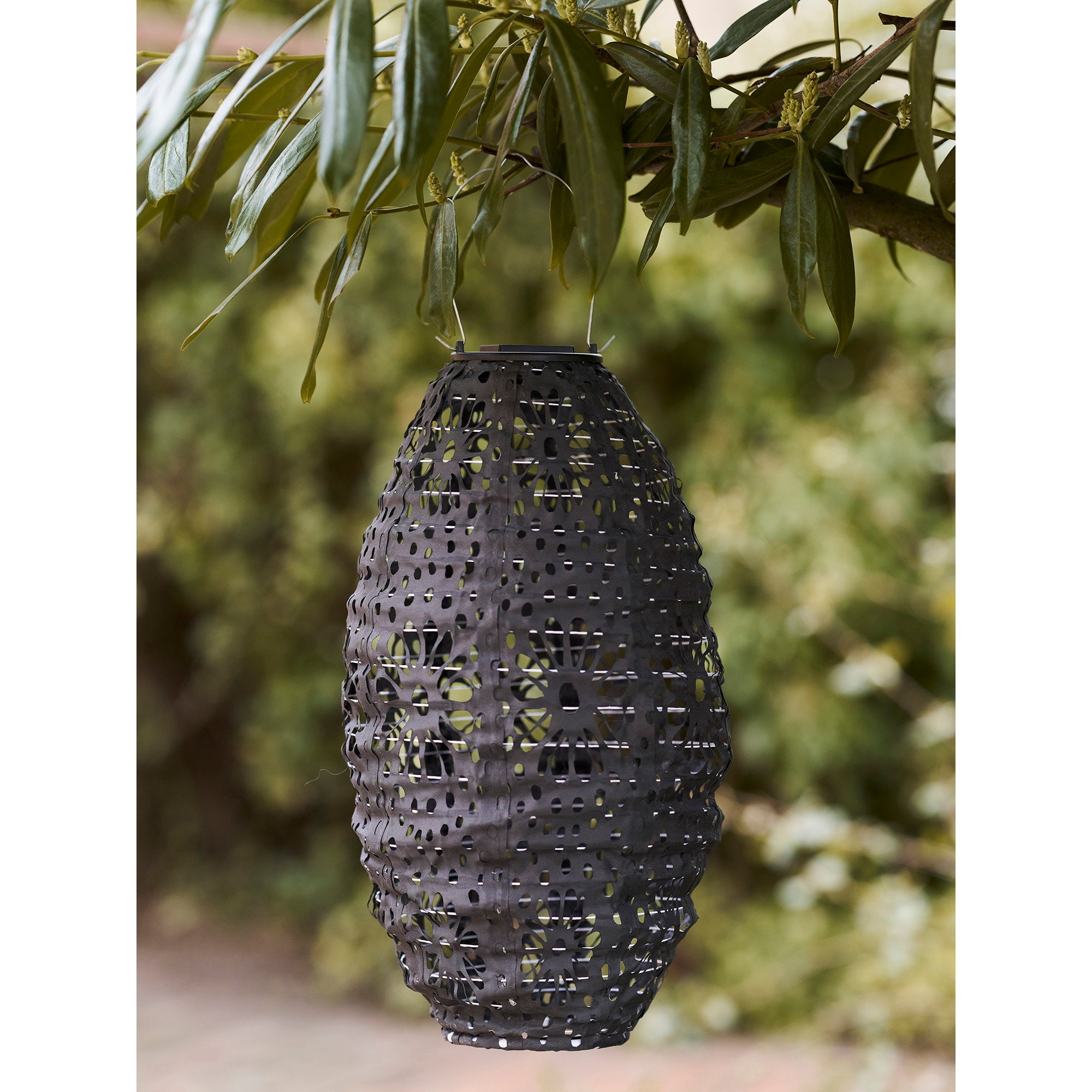 Foxdale LED Lantern - Lantern, rechargeable with integrated solar panel, grey