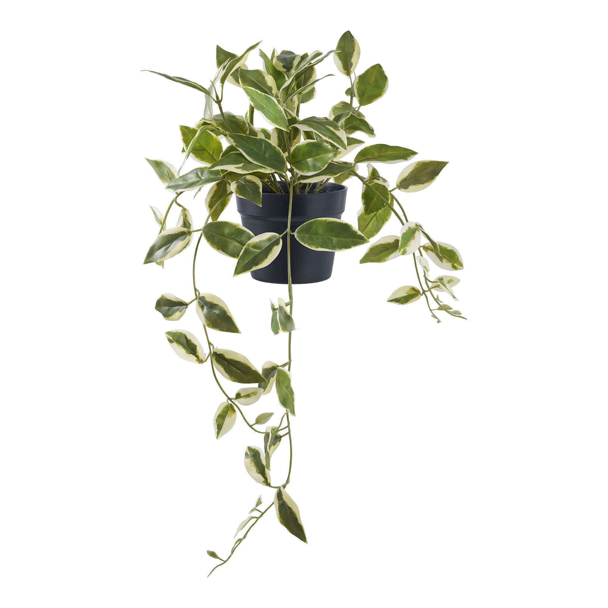 Hoya Carnosa - Artificial plant, green H:33 cm