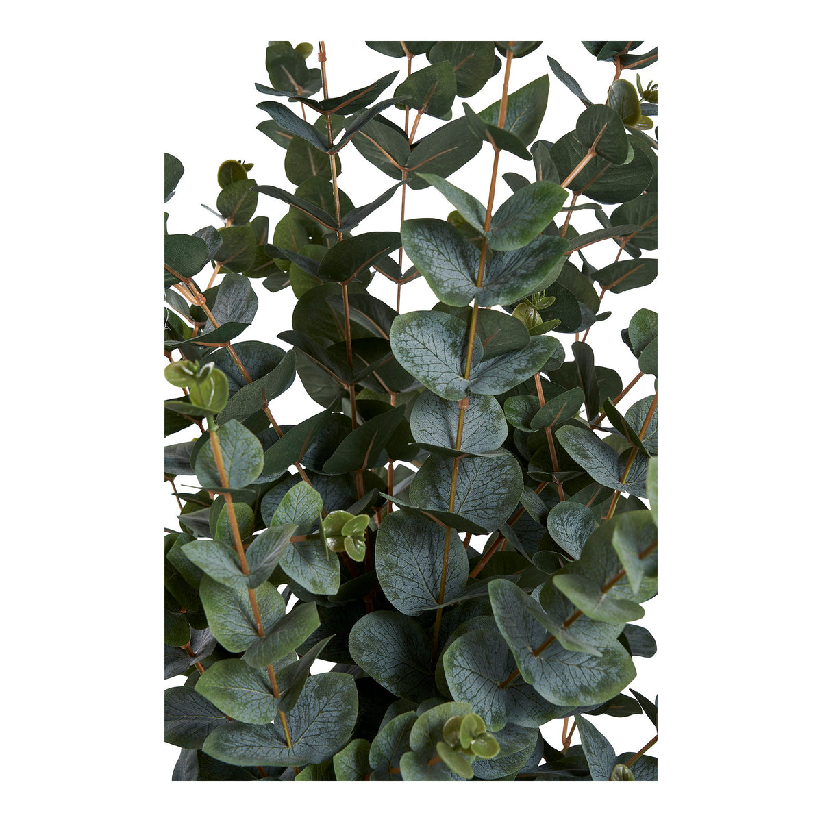 Eukalyptusbaum – Künstliche Pflanze, grün H:120 cm