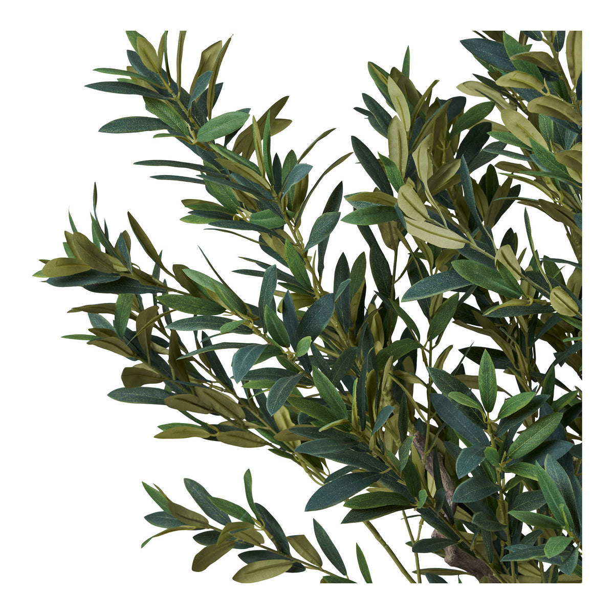 Olivenbaum - Künstlicher Baum, grün H:220 cm