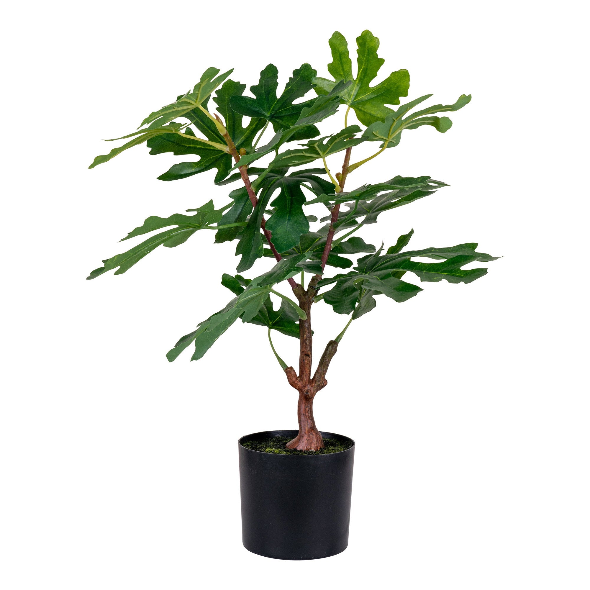 Feigenbaum – Kunstpflanze, grün H:60 cm