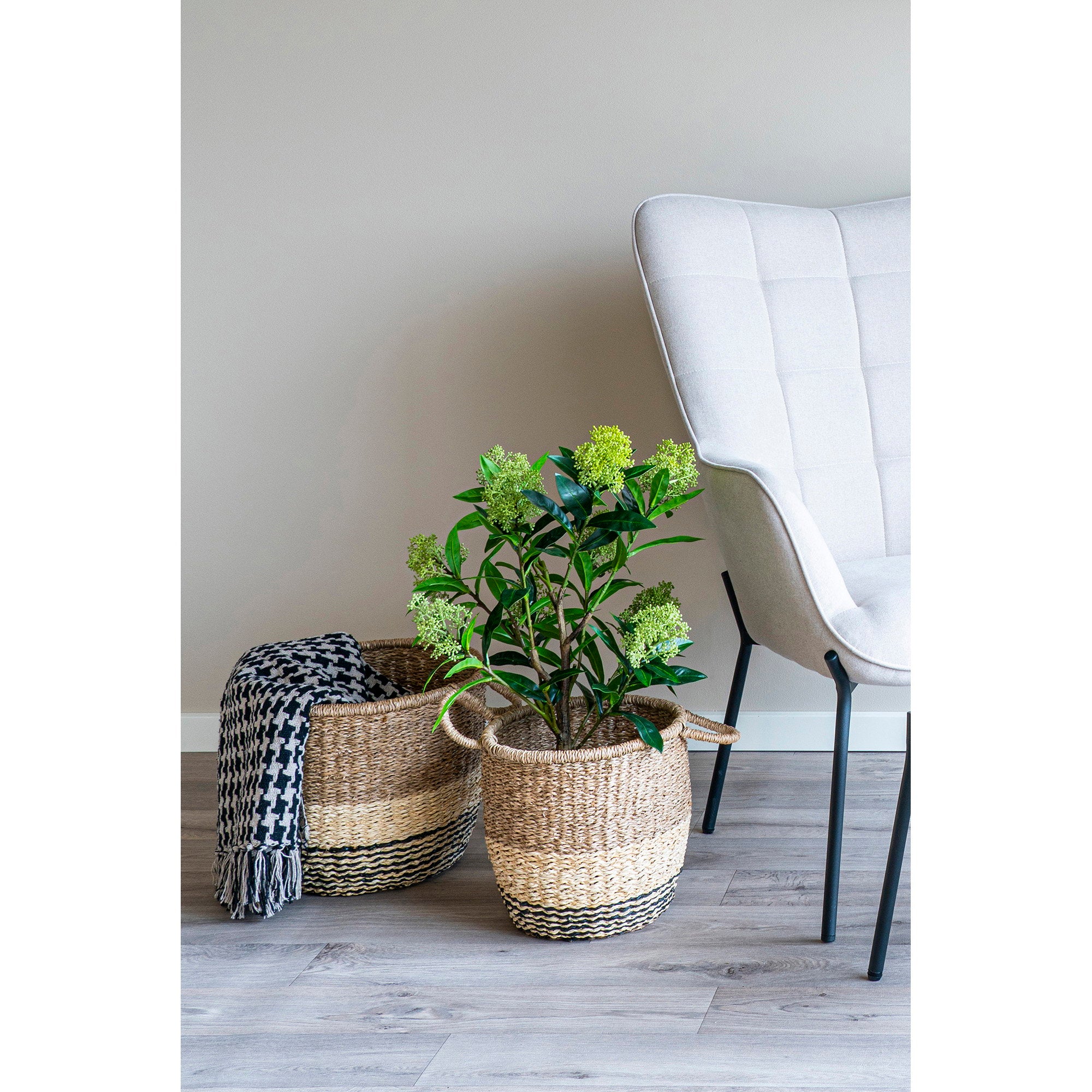 Skimmia Tree - Artificial plant, green H:75 cm