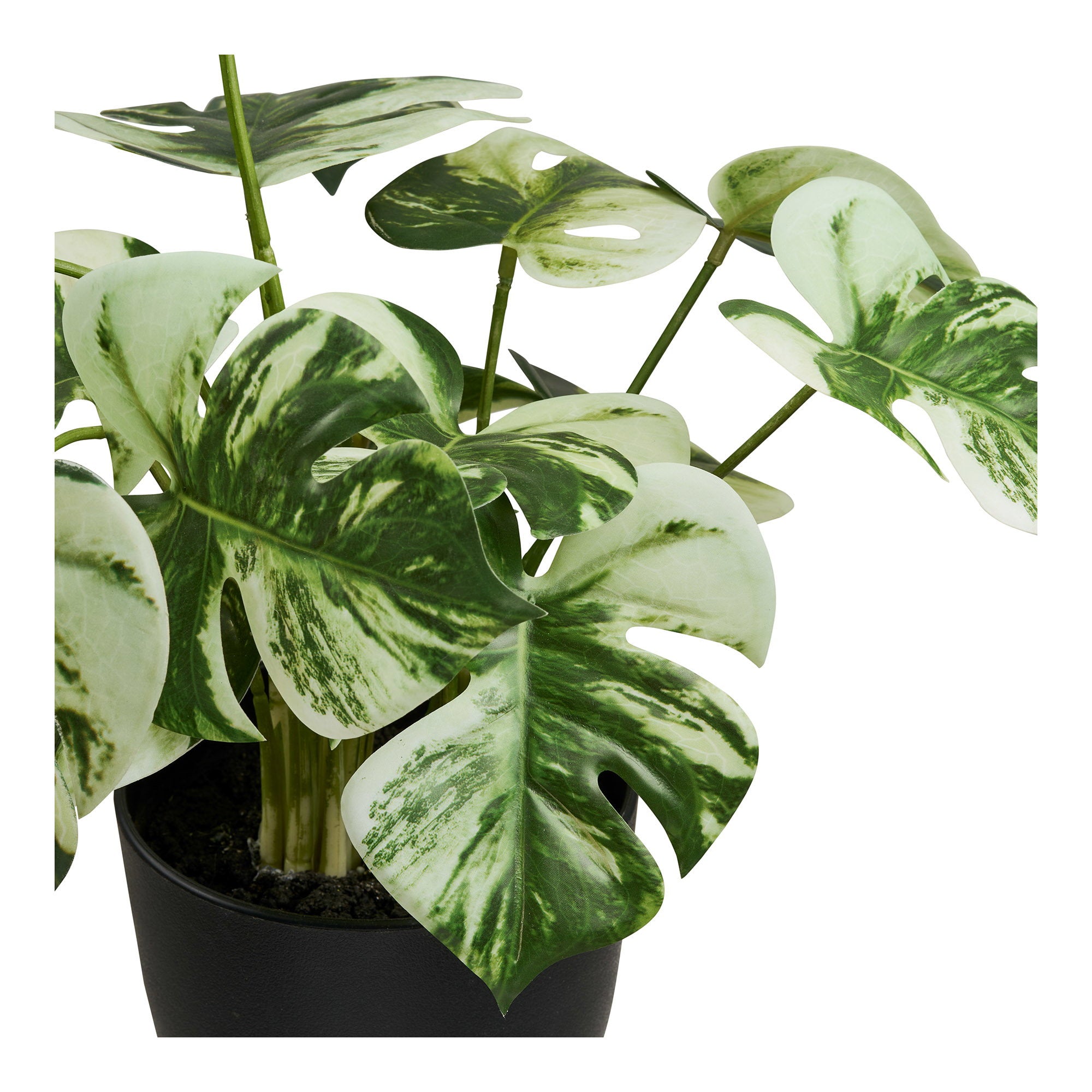 Monstera – Künstliche Pflanze, grün H:43 cm