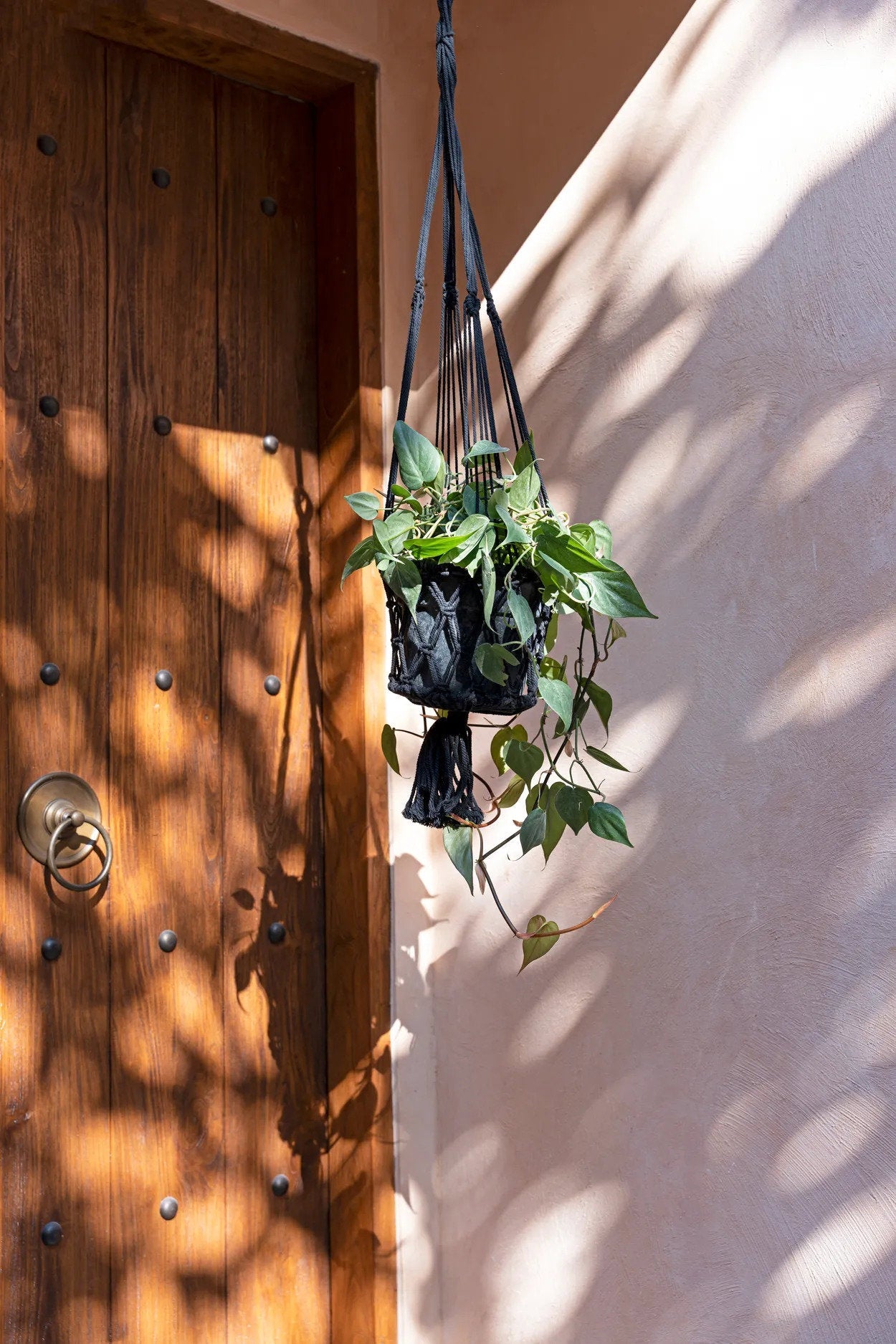 The Macrame Plant Holder - Black - L_40