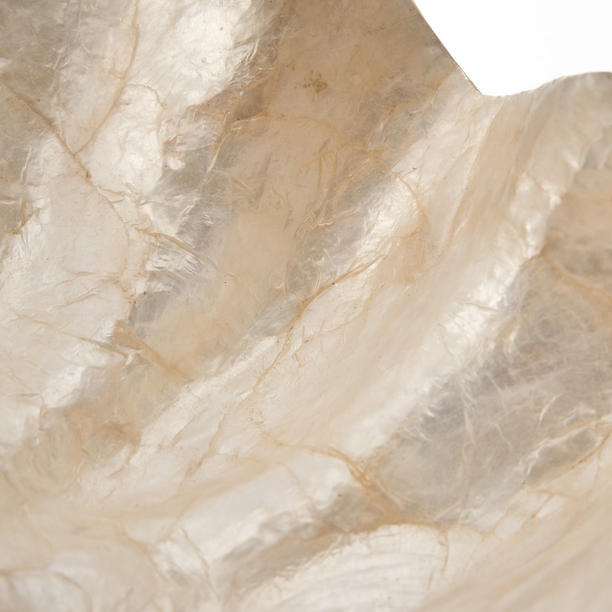 The Mother of Pearl Soap Dish - White - S