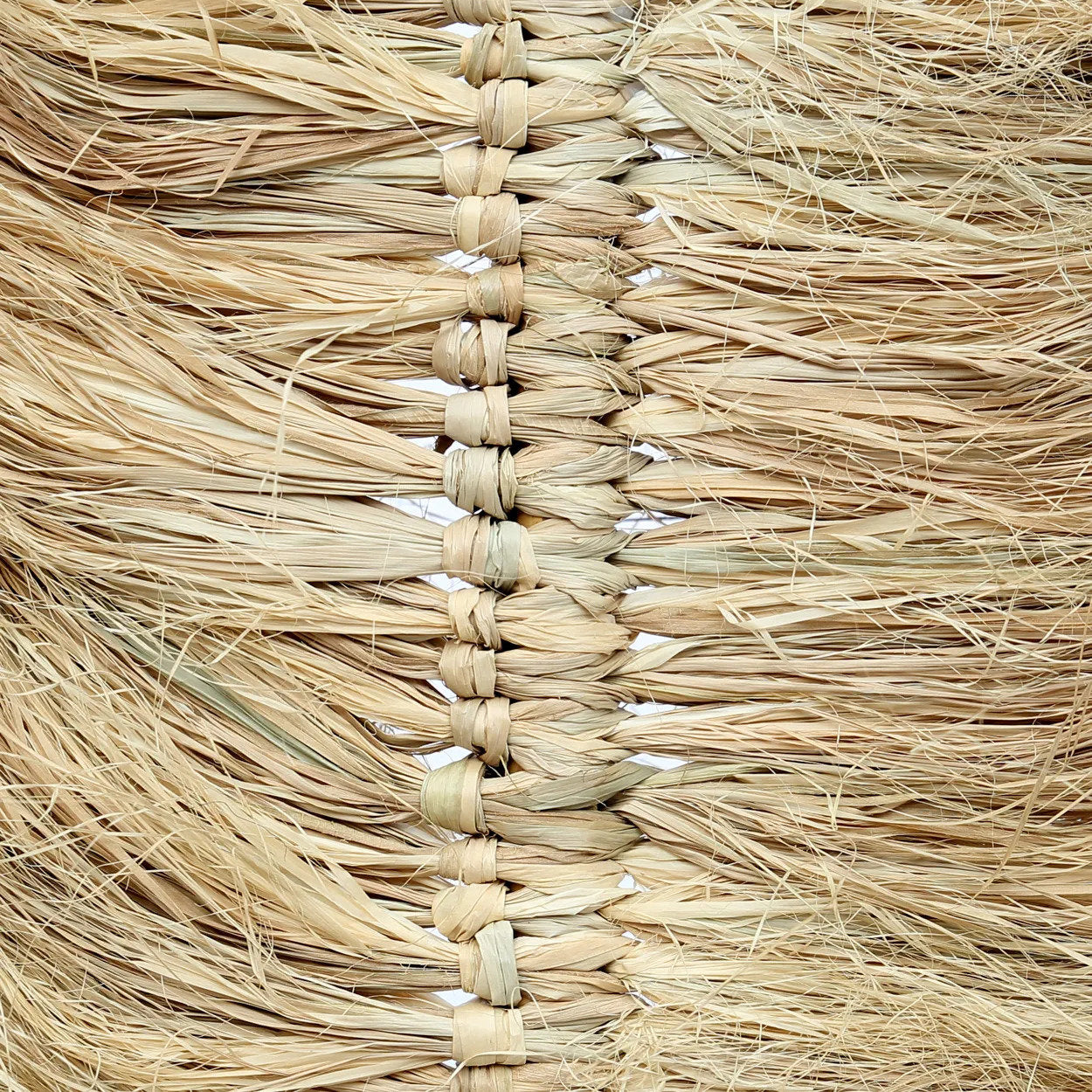 The Raffia Palm Tree - Natural
