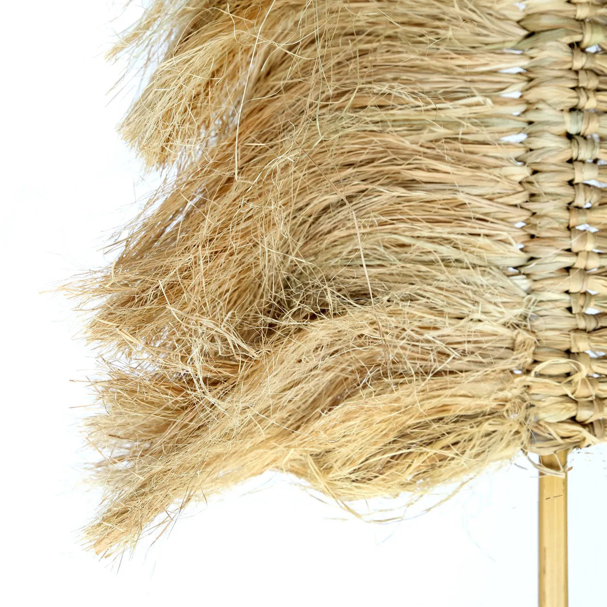 The Raffia Palm Tree - Natural