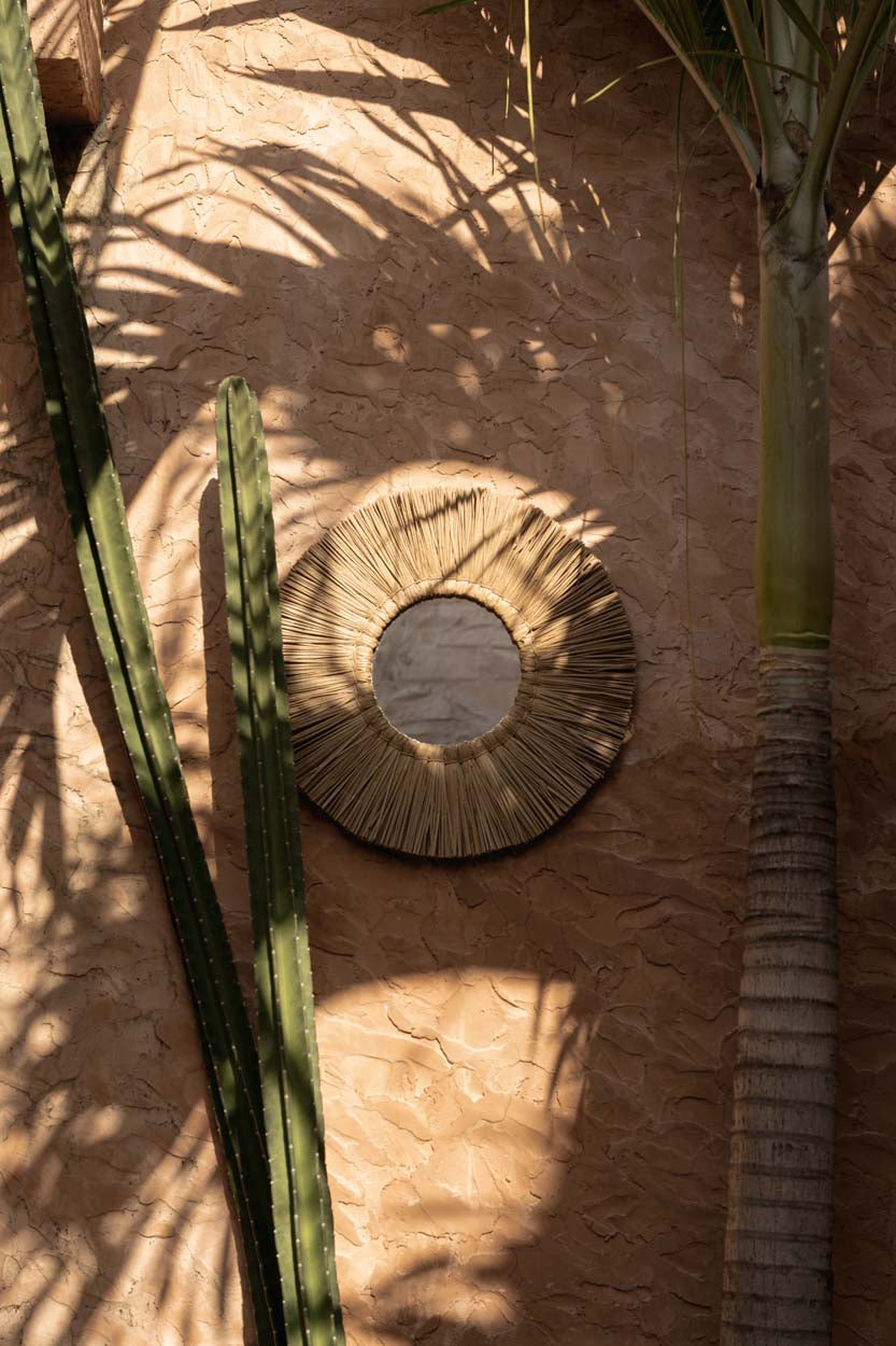 Der Alang Alang Spiegel – Natur – M