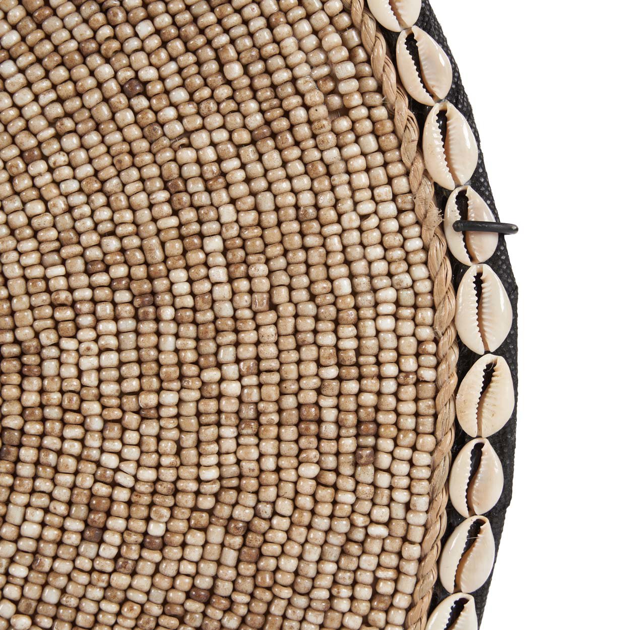 The Shell Guadeloupe on Stand - Natural White