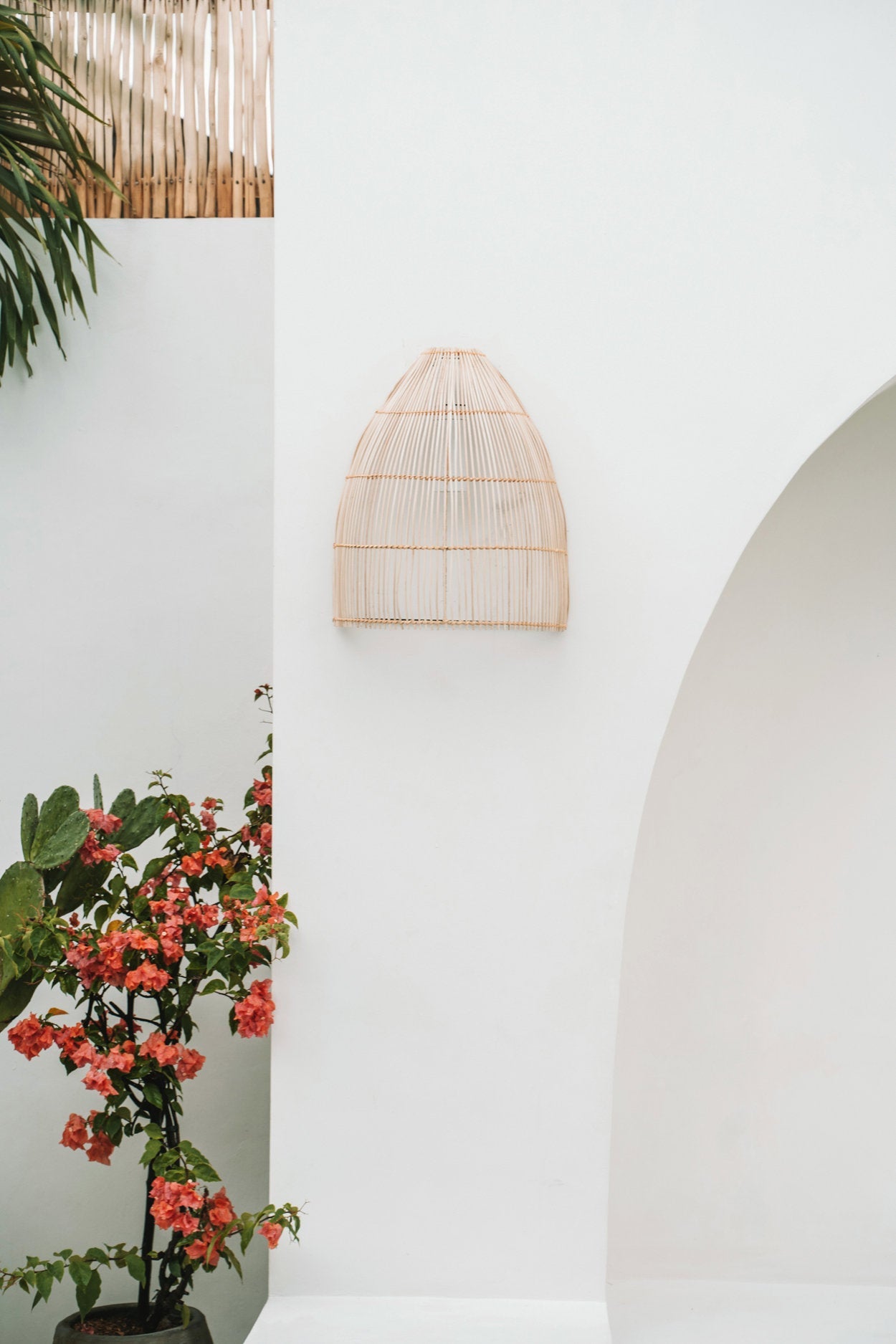 The Lalo Wall Sconce - Natural - L