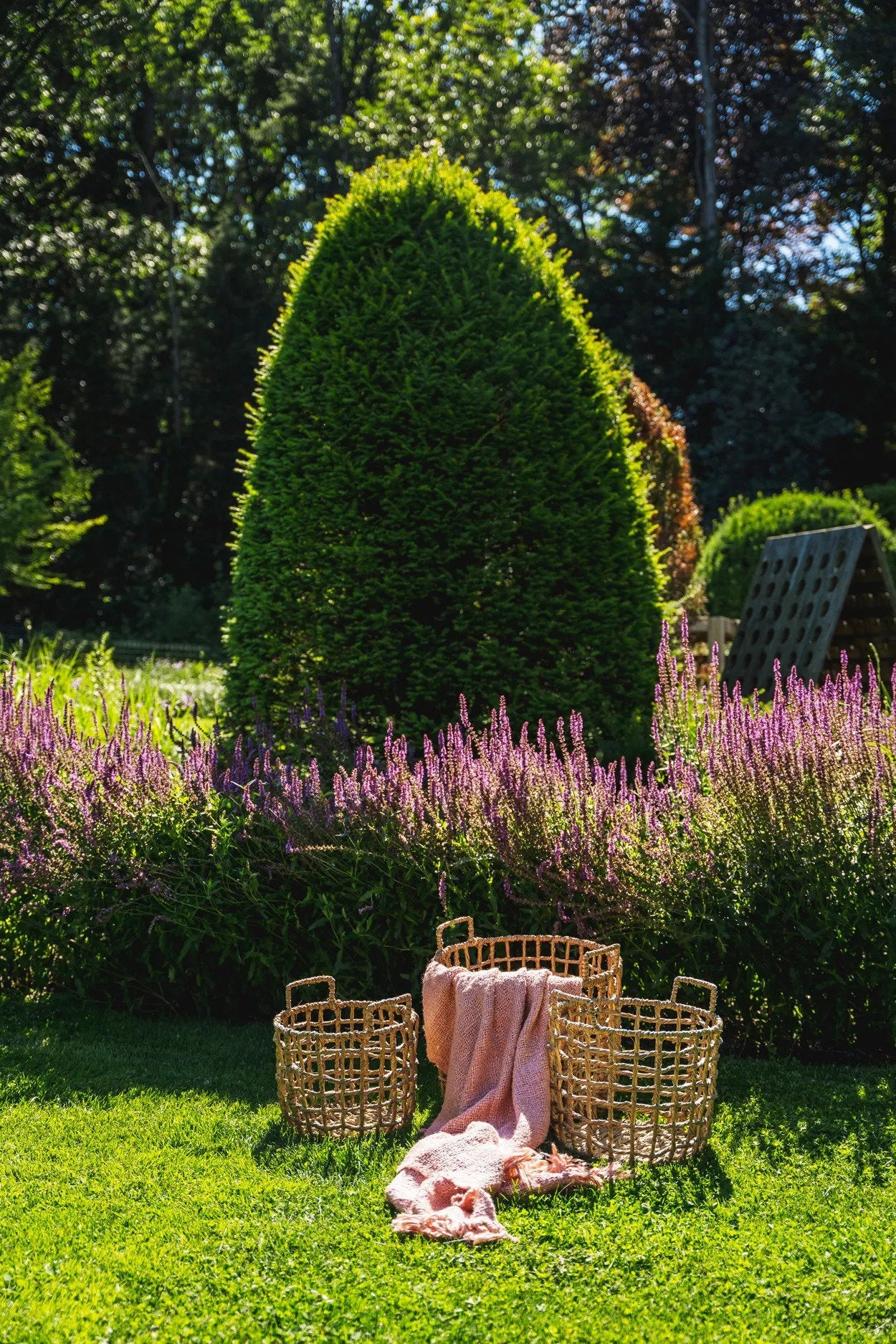 Das s'il vous Plaid – Lachsrosa