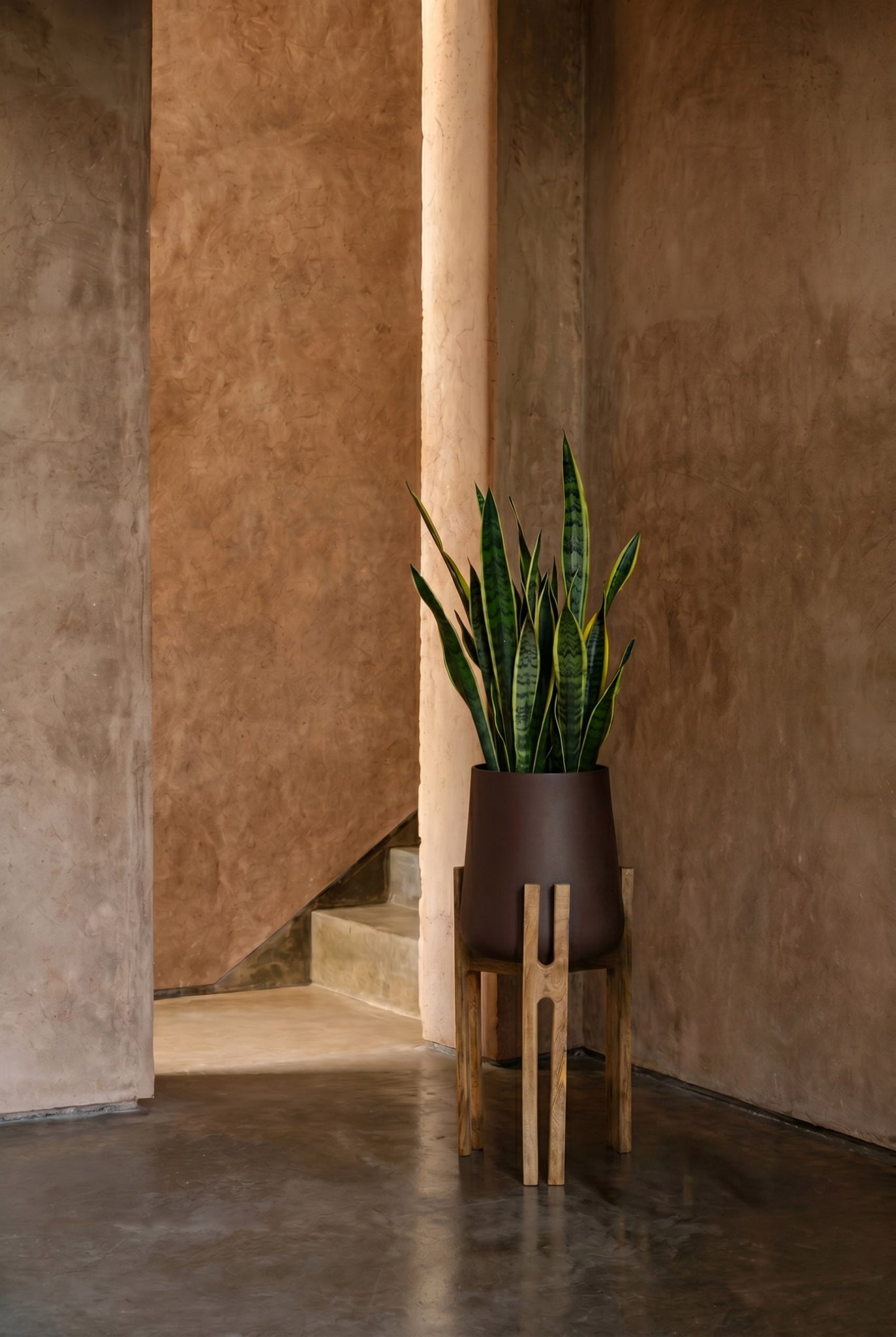 Plantenpot Forked Root – beton, naturel bruin, 28x30x66 cm