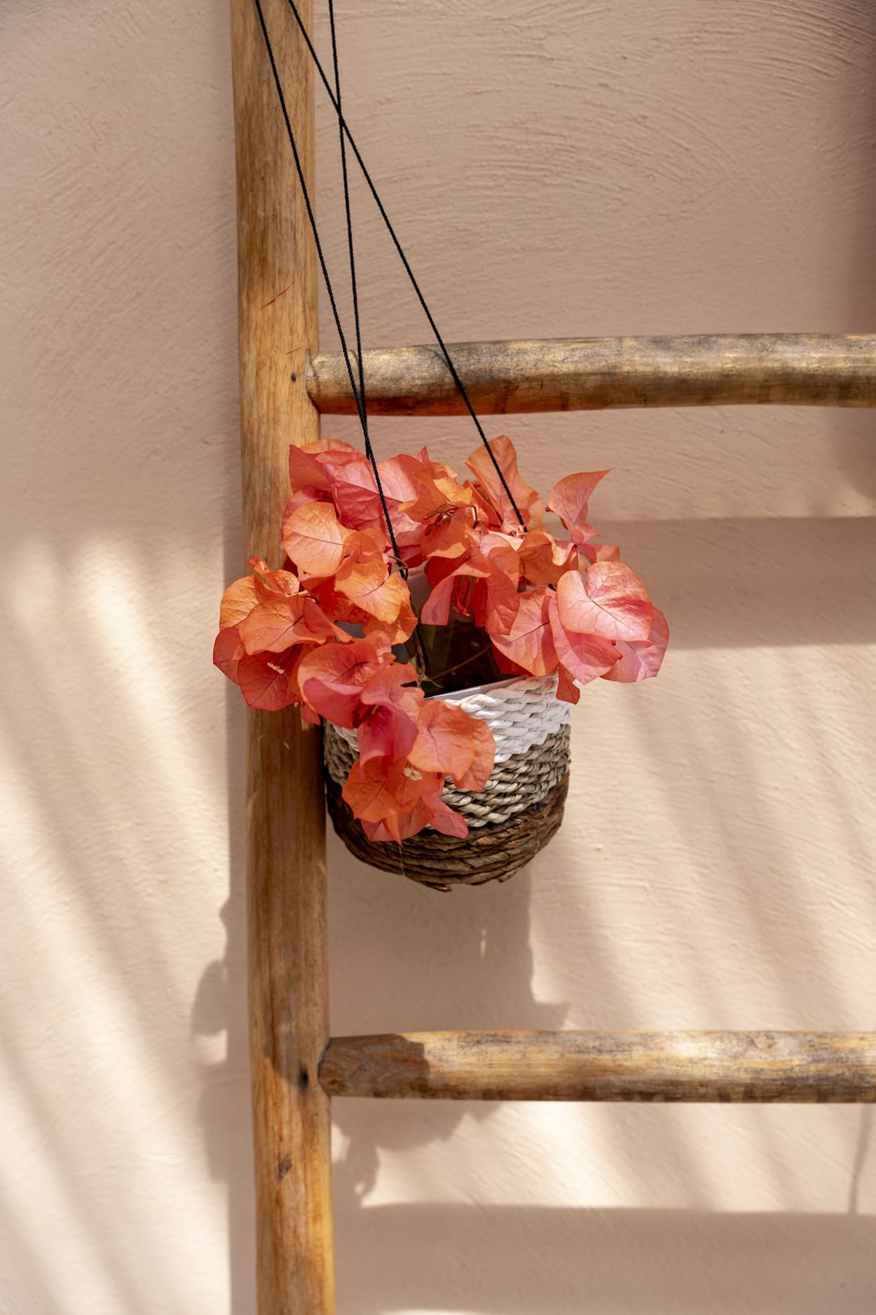 The Banana Plant Hanger - Natural White - S