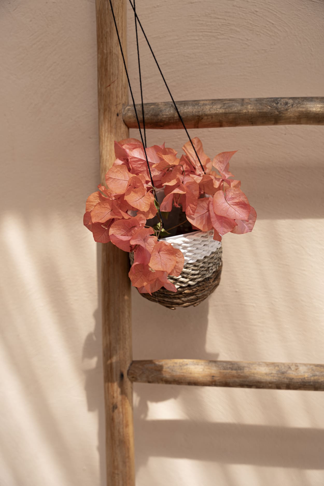 The Banana Plant Hanger - Natural White - S