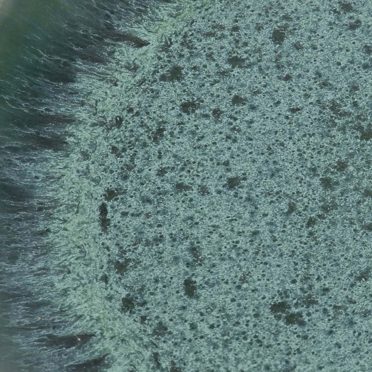 The Aqua Salad Plate - Set of 6