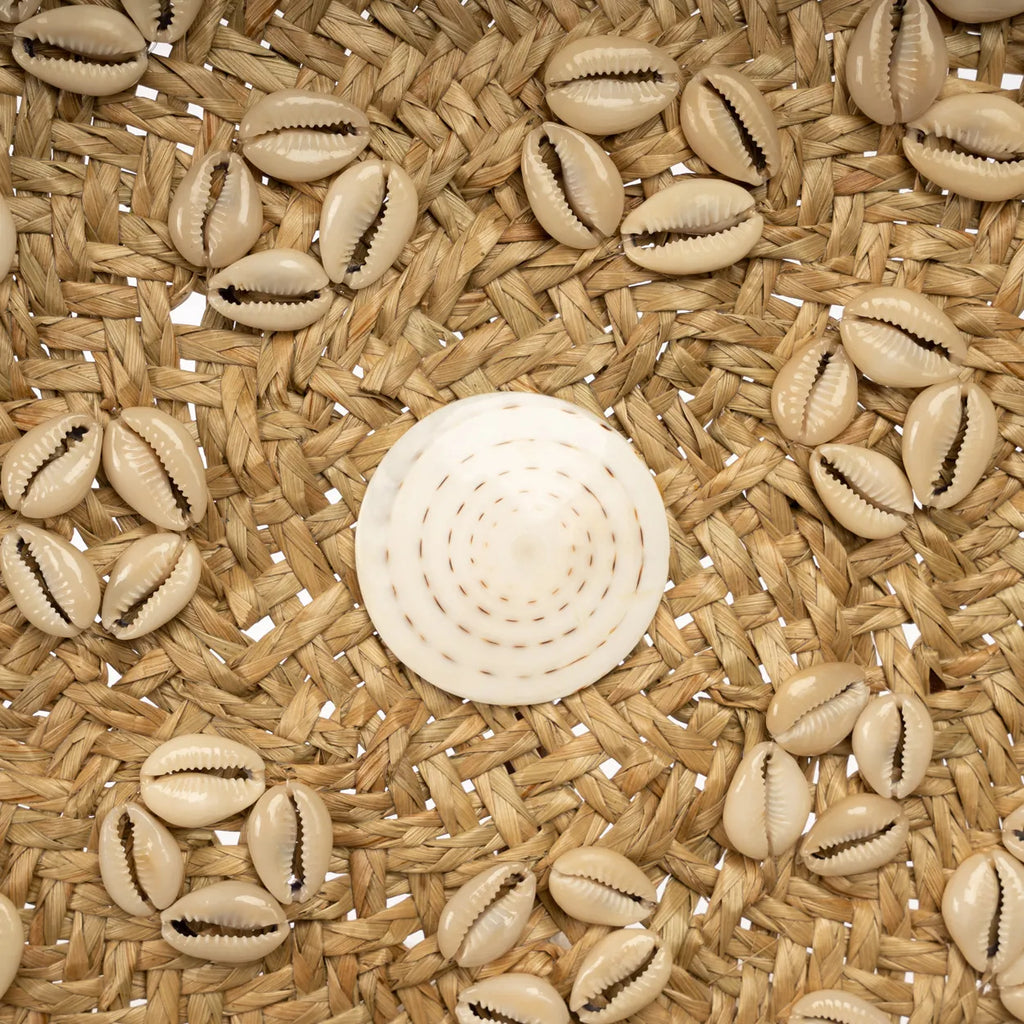 Der Caribe Muschelteller - Naturweiß - M_40