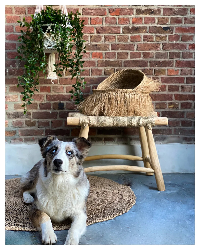 The Macrame Plant Holder - White - L_40