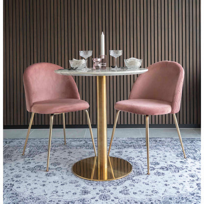 GENEVE DINING CHAIR VELVET ROZE | MESSING LOOK POTEN (SET VAN 2)