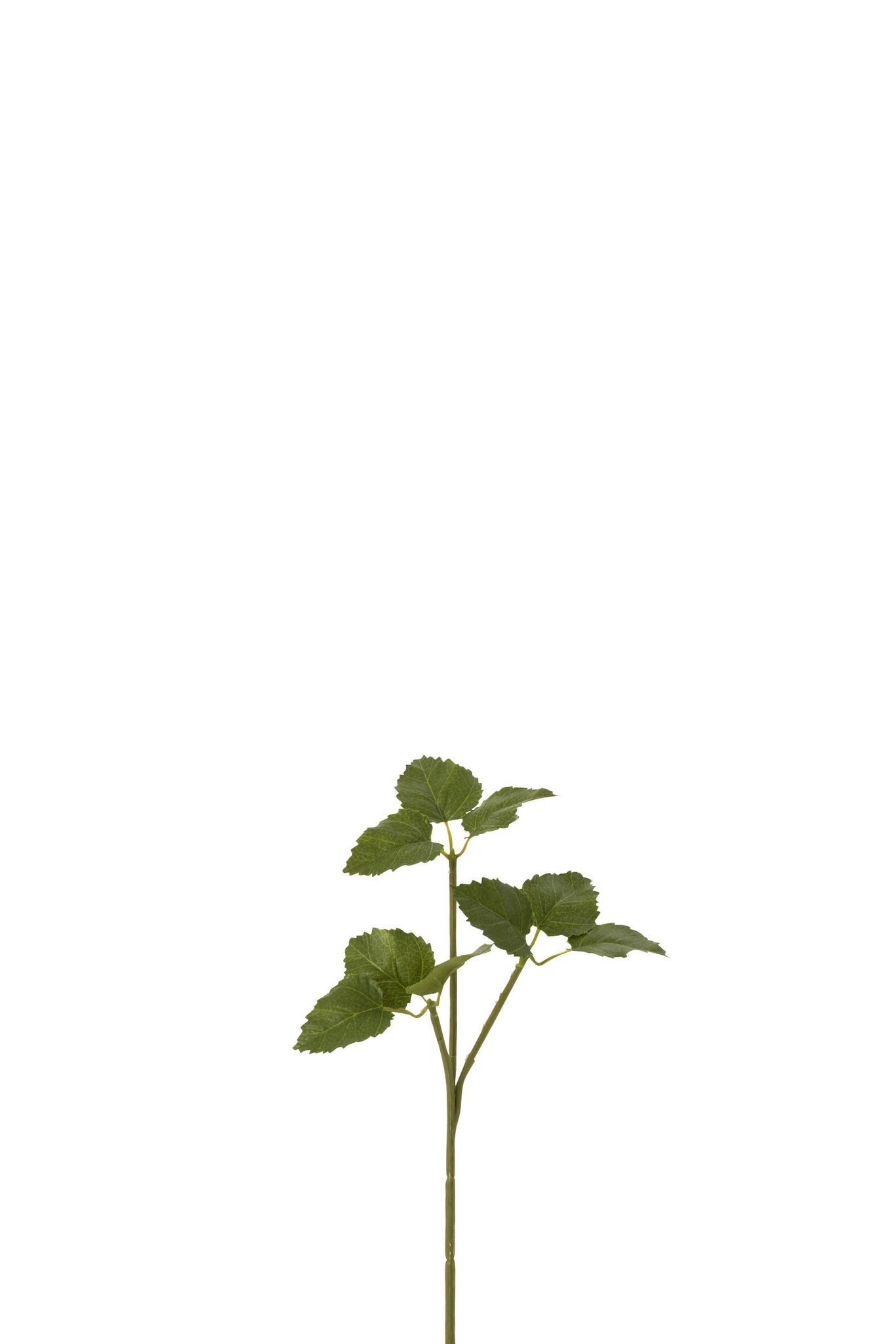 Branch Hoppe Plastic Green