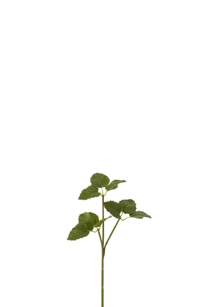 Branch Hoppe Plastic Green