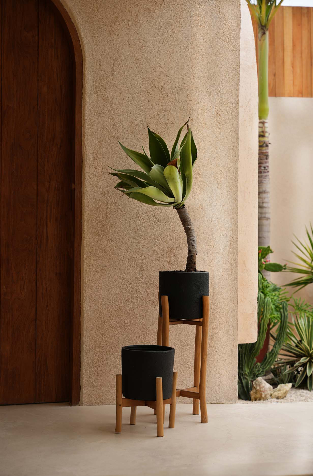 The Charcoal High - Schwarz Natur - L