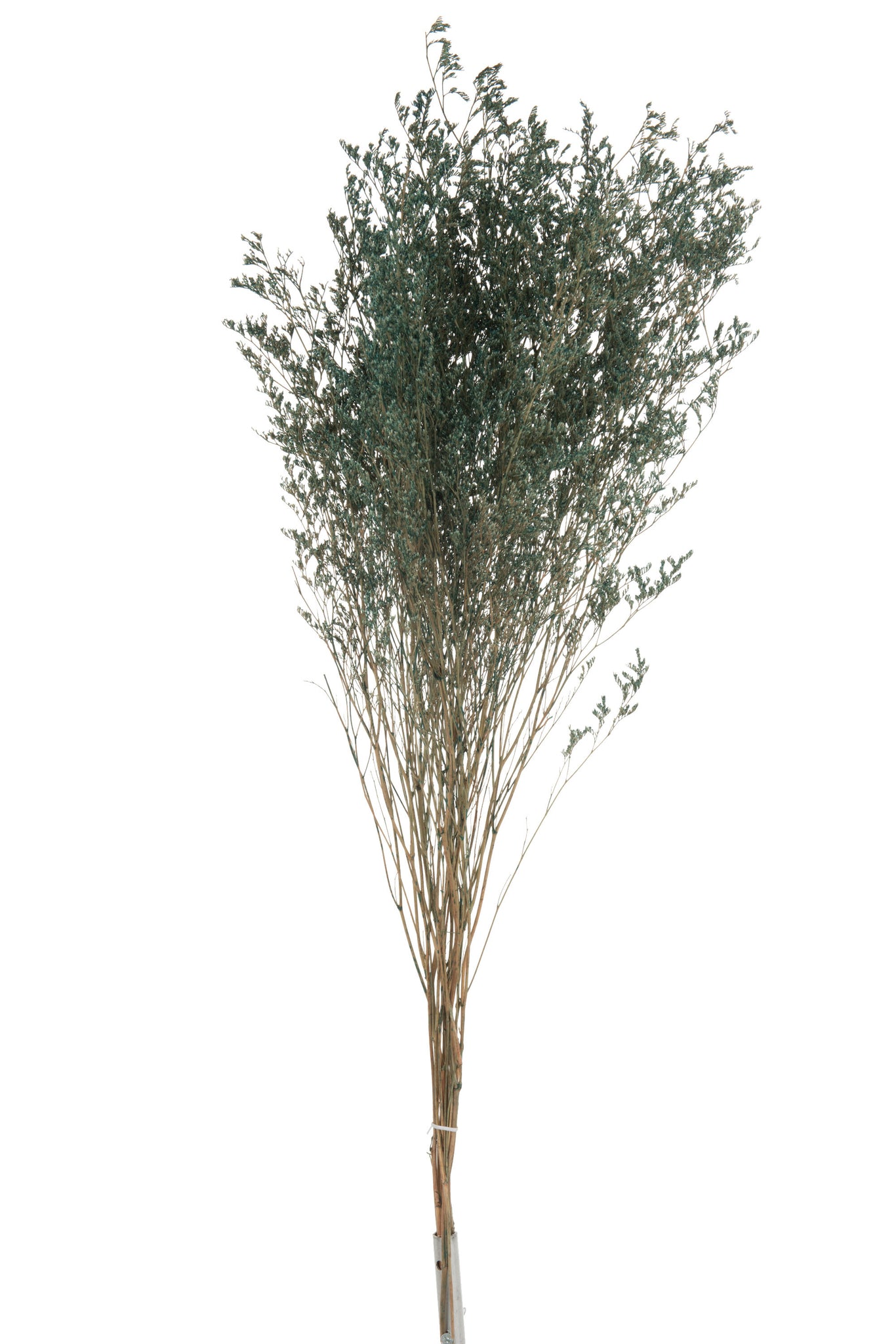 Bundle Sea Lavender Dried Grey Blue