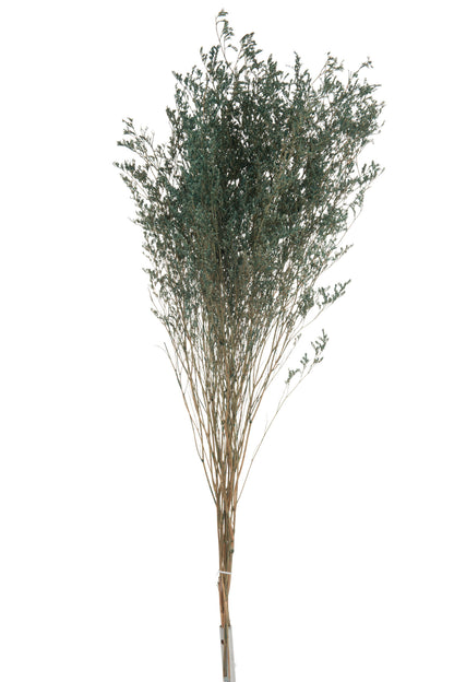 Bundle Sea Lavender Dried Grey Blue