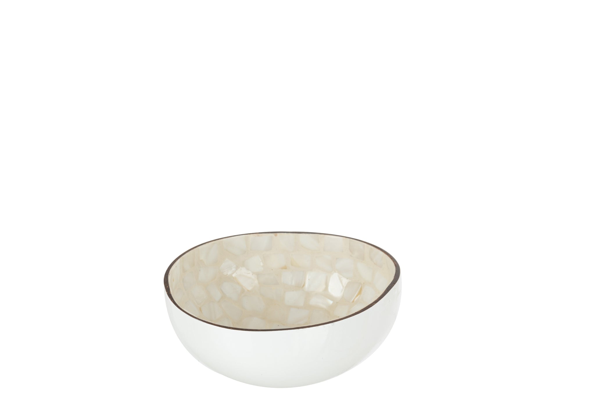 Half Coconut Ball Nuye Nut/Paint White