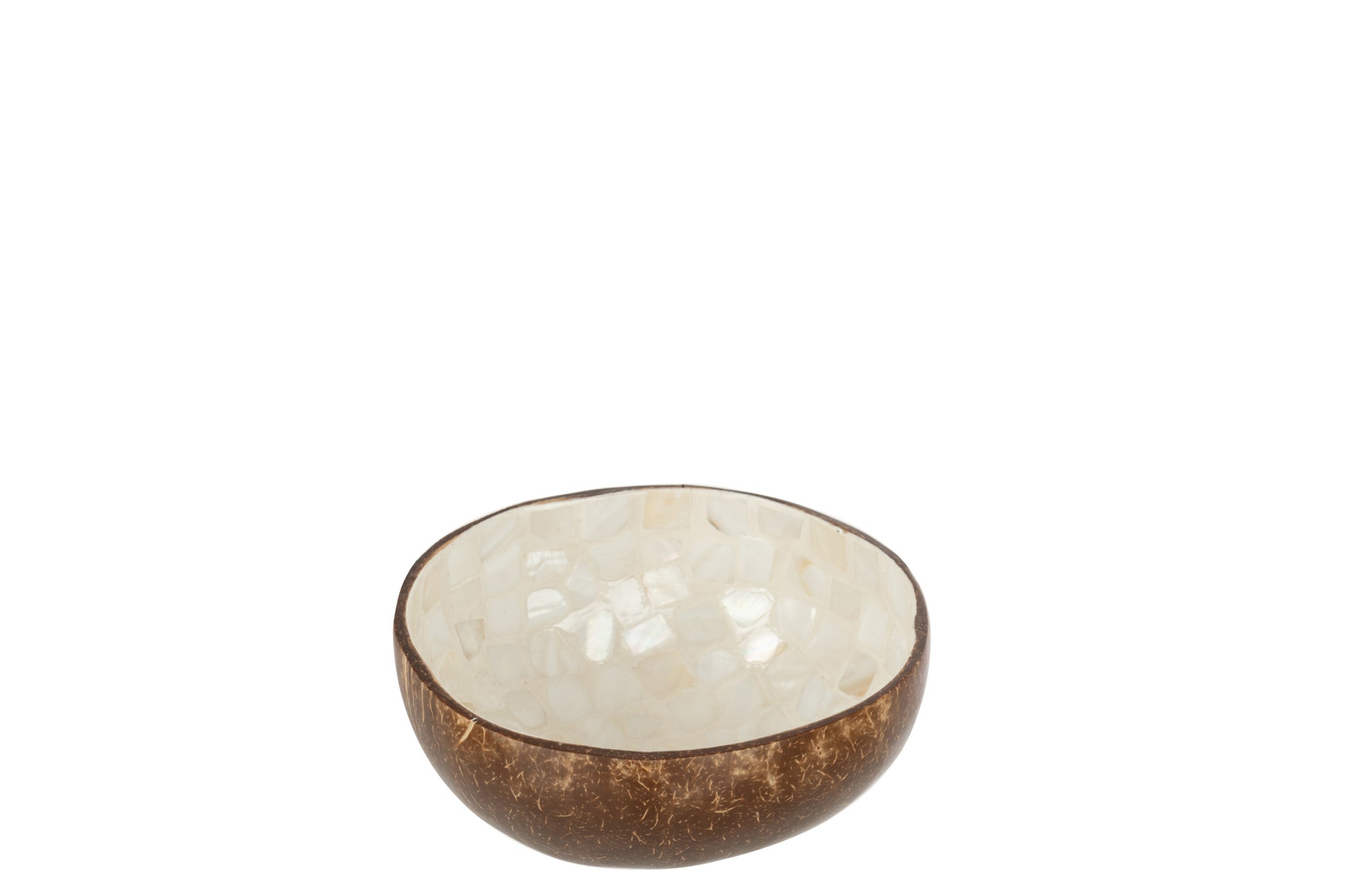 Half Coconut Ball Nuye Nut/Paint White/Brown